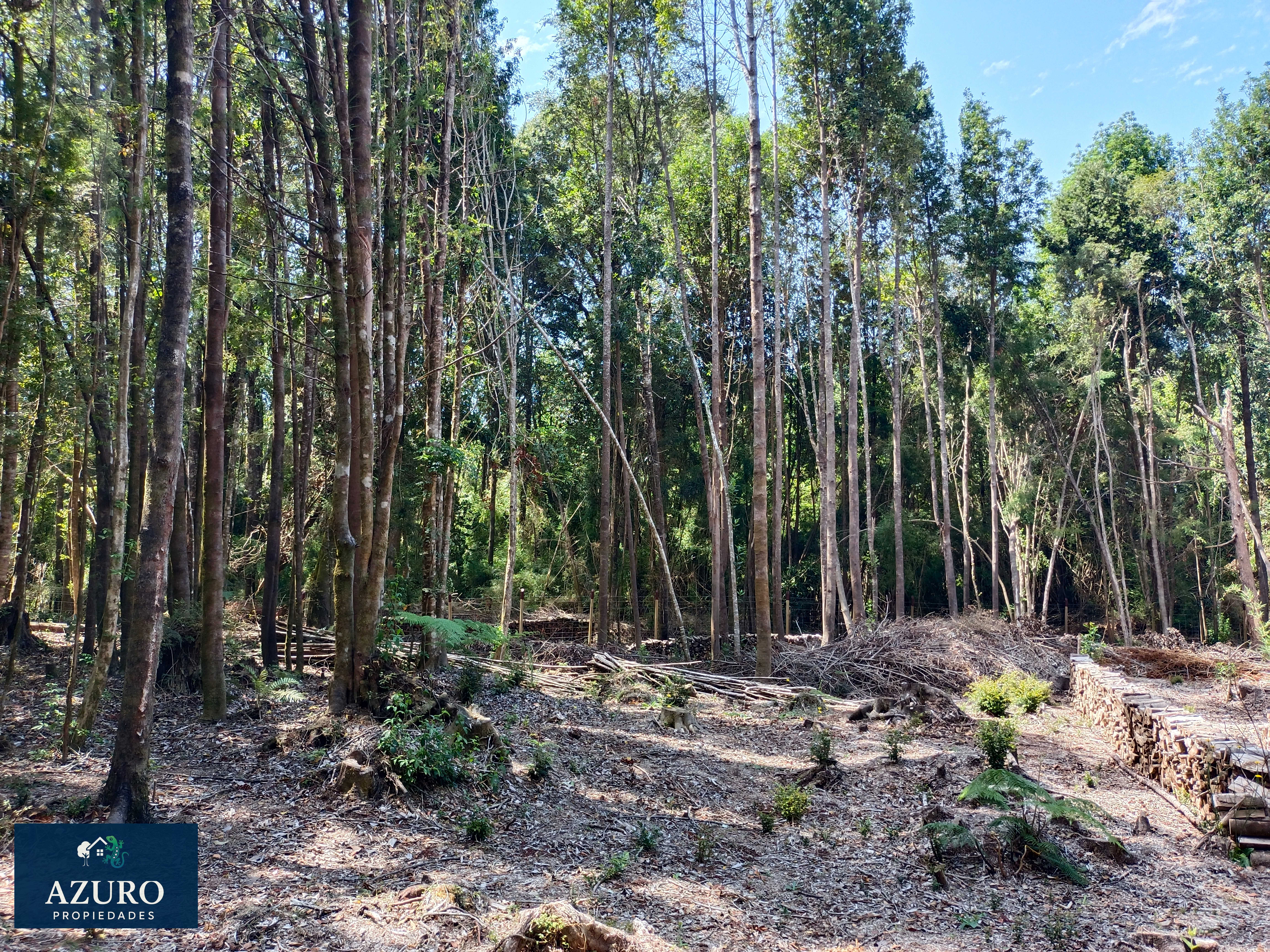 Venta Parcela Puerto Montt - Los Lagos