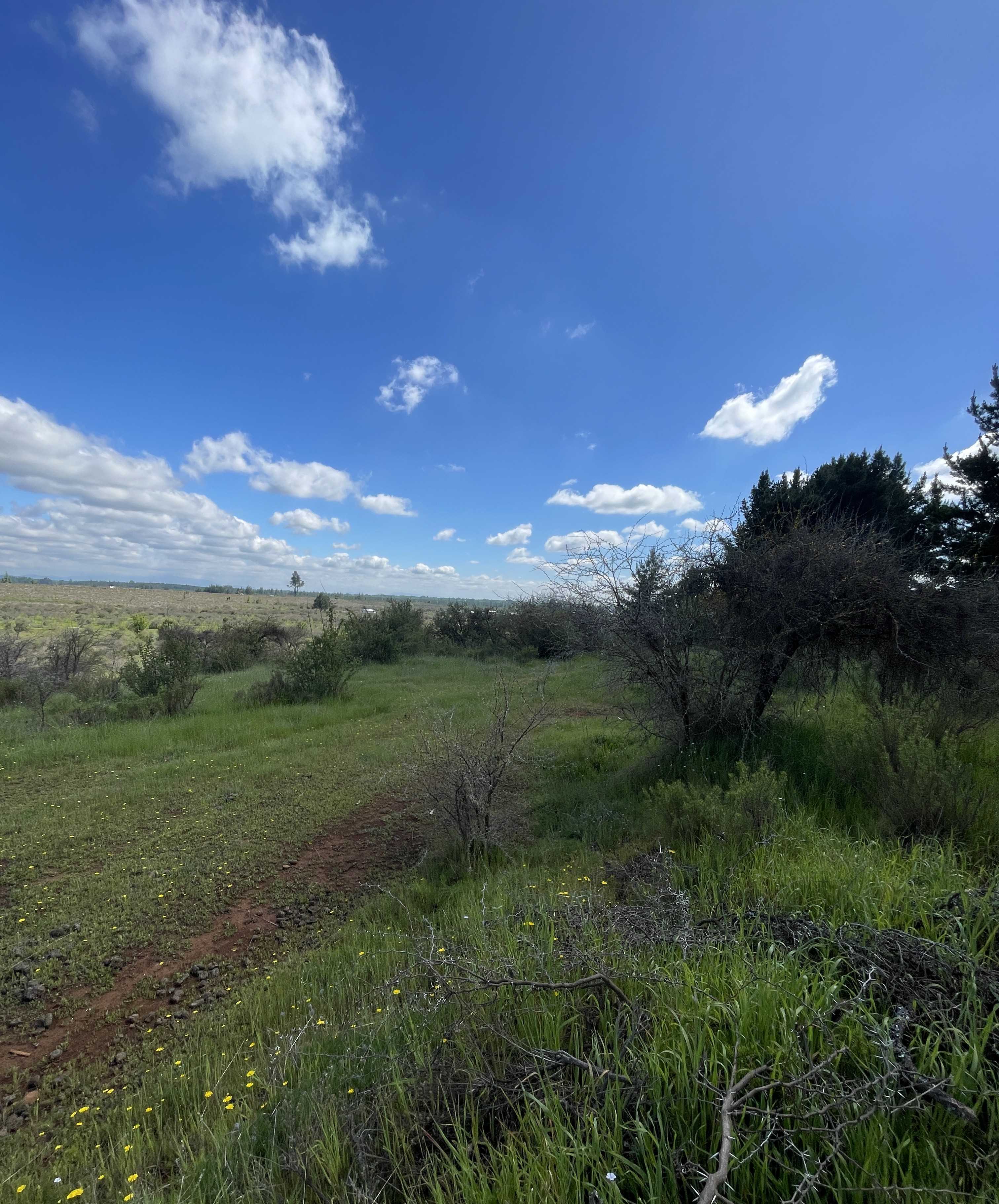 Venta Parcela Pemuco - Ñuble
