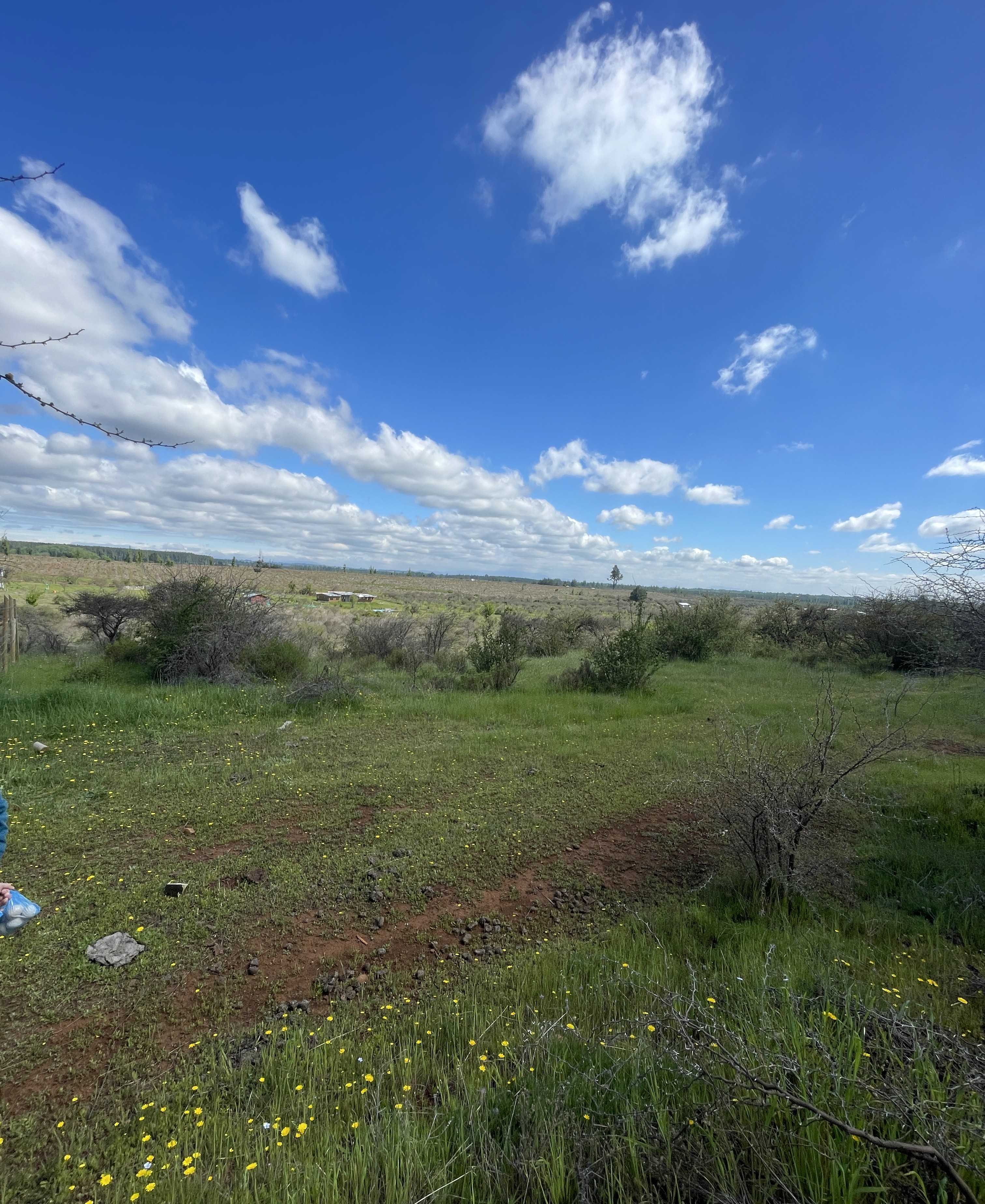 Venta Parcela Pemuco - Ñuble
