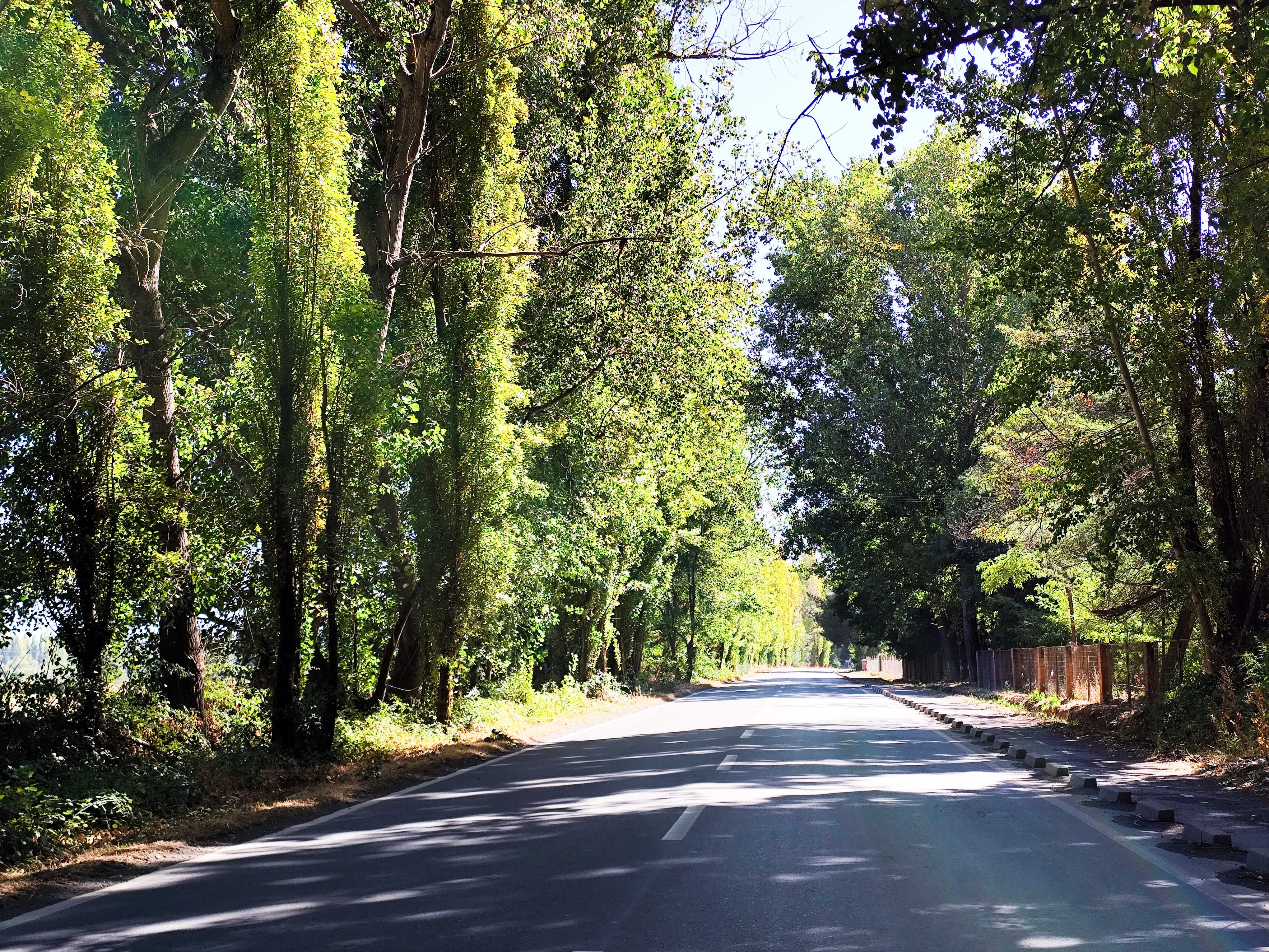 Venta Parcela Bulnes - Ñuble