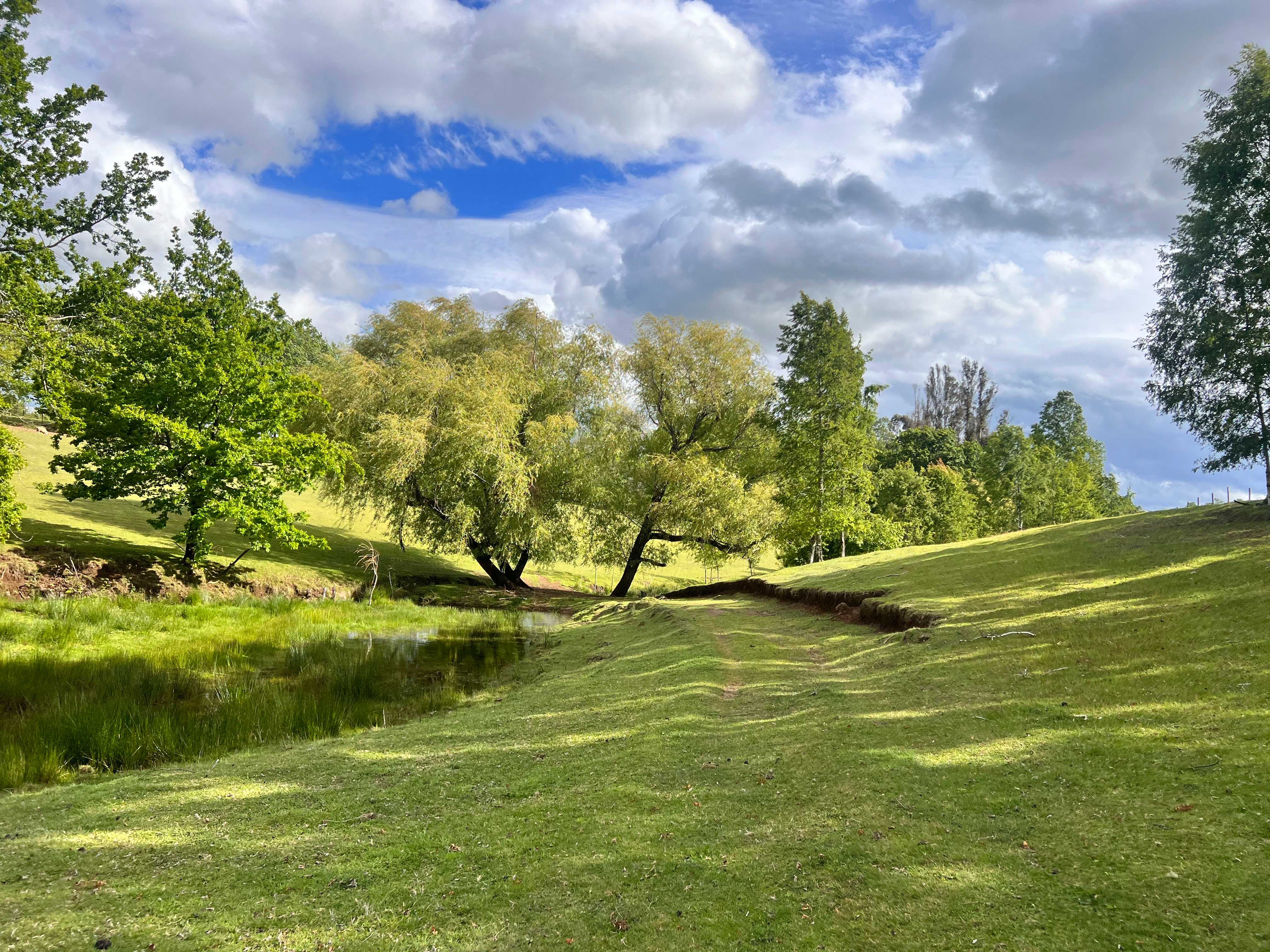 Venta Terreno Villarrica - La Araucanía