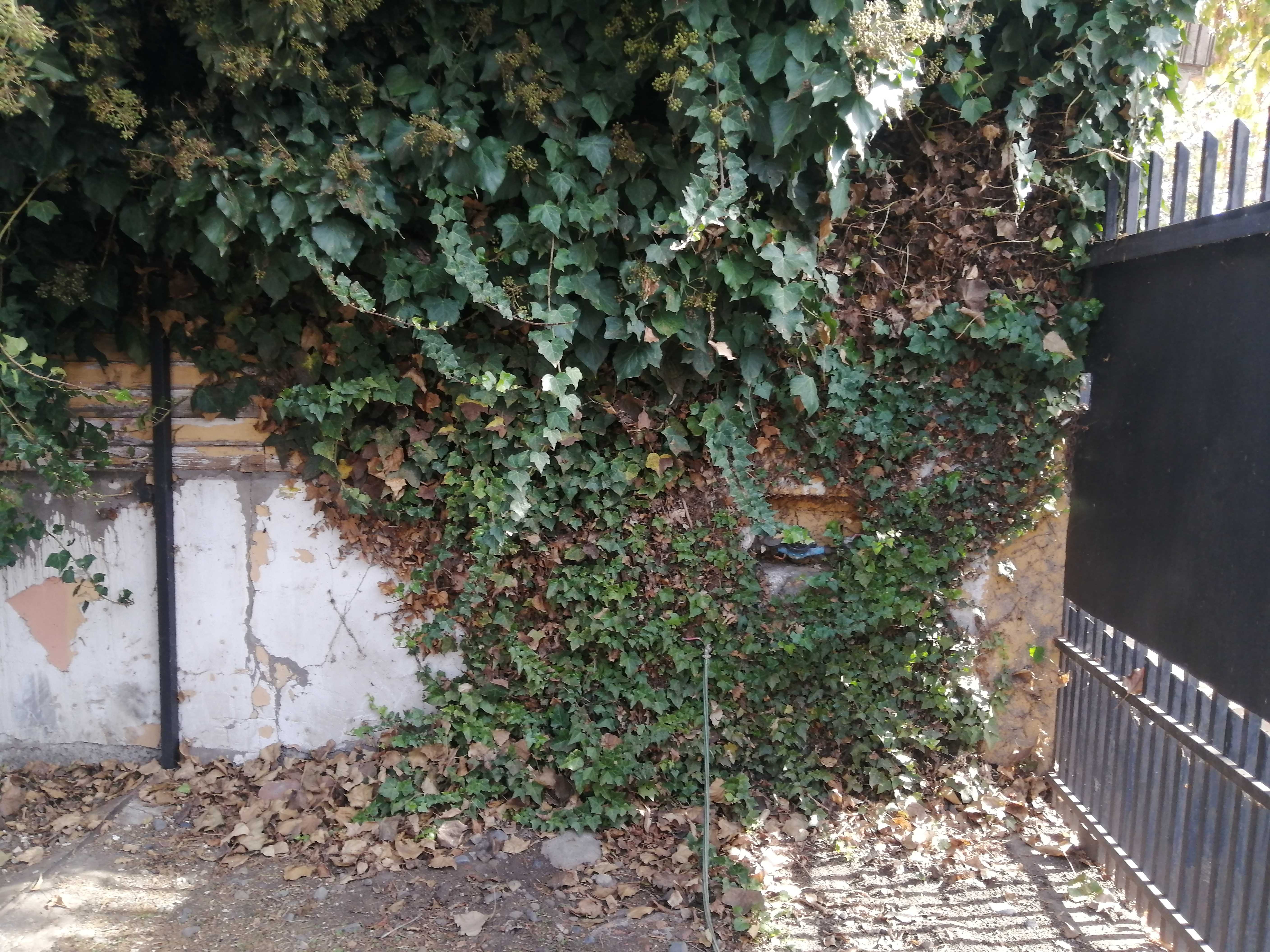 Venta Sitio Chillán - Ñuble