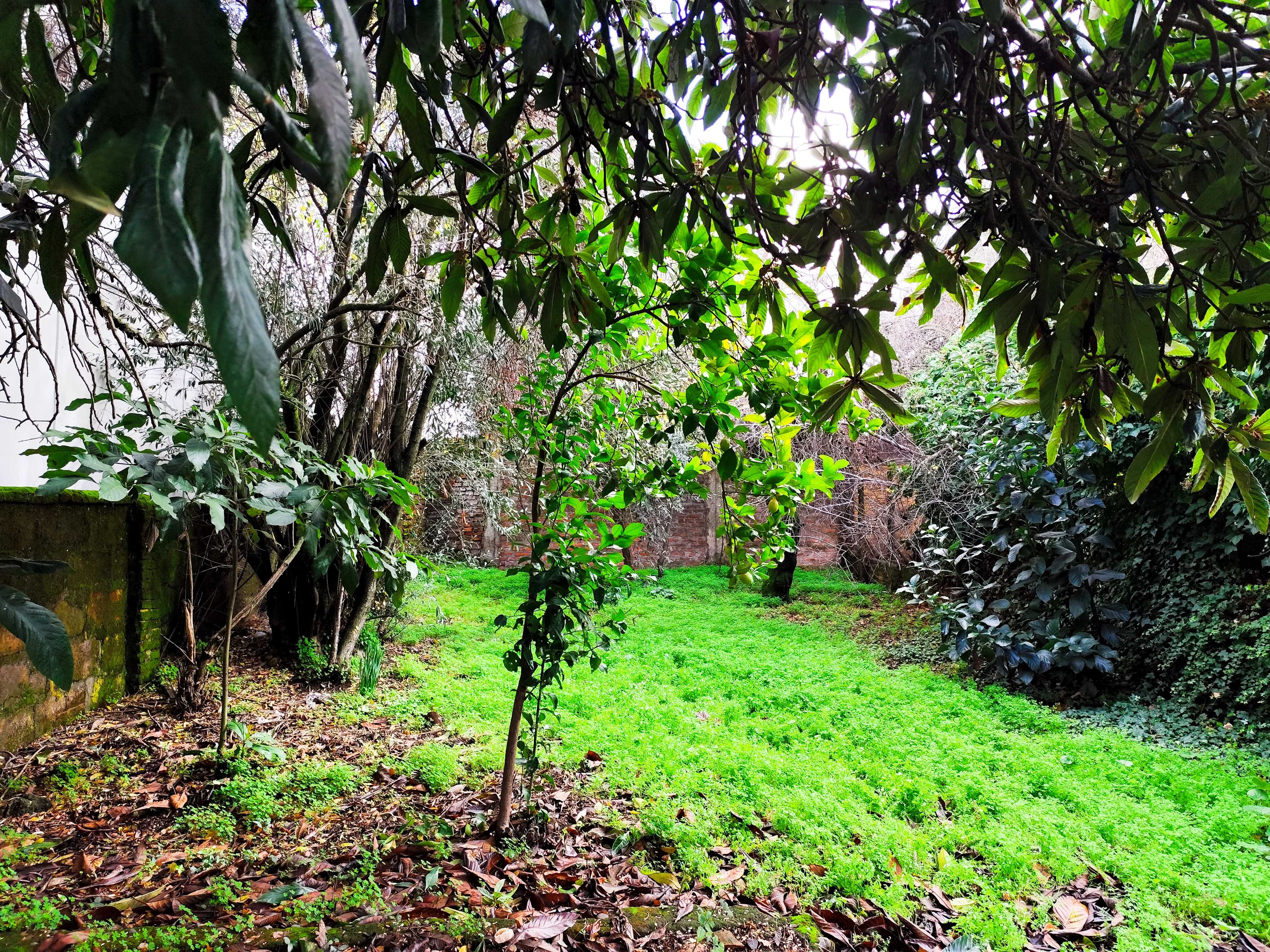 Venta Sitio Chillán - Ñuble