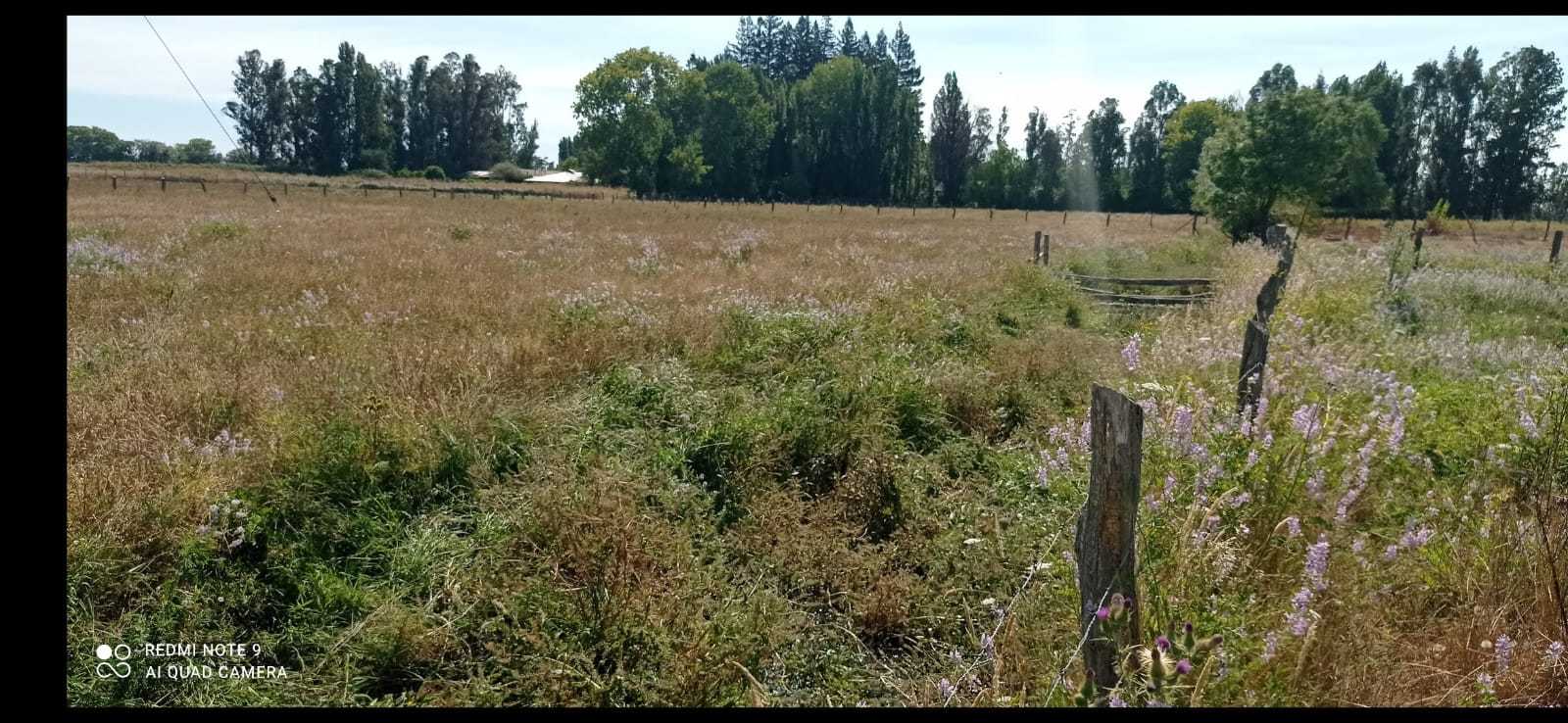 Venta Terreno Ñiquén - Ñuble