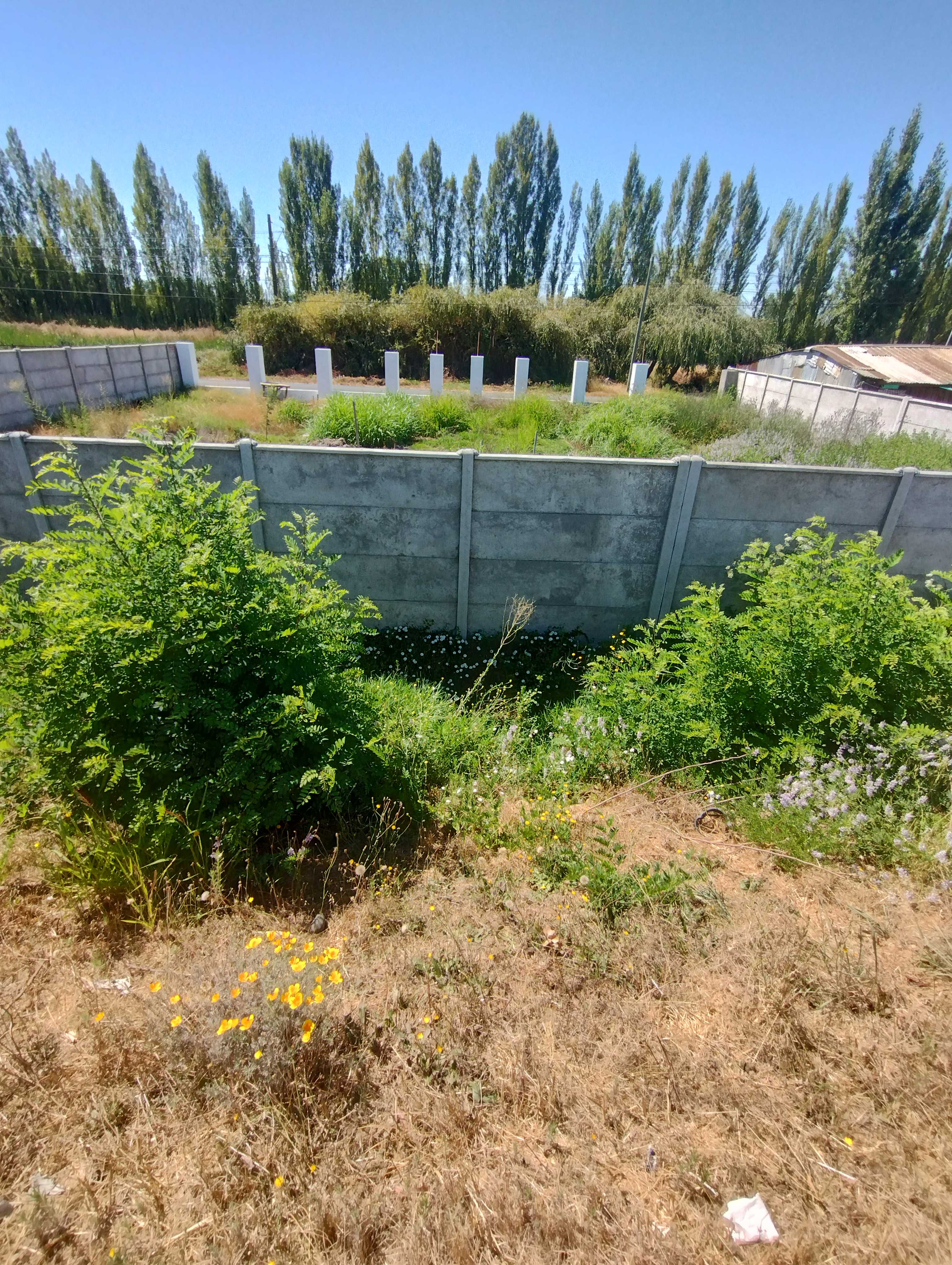 Venta Sitio Longaví - Maule