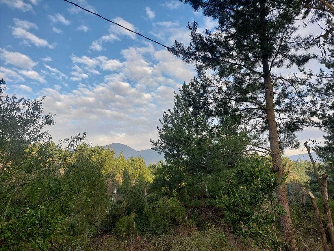 Venta Terreno Colbún - Maule