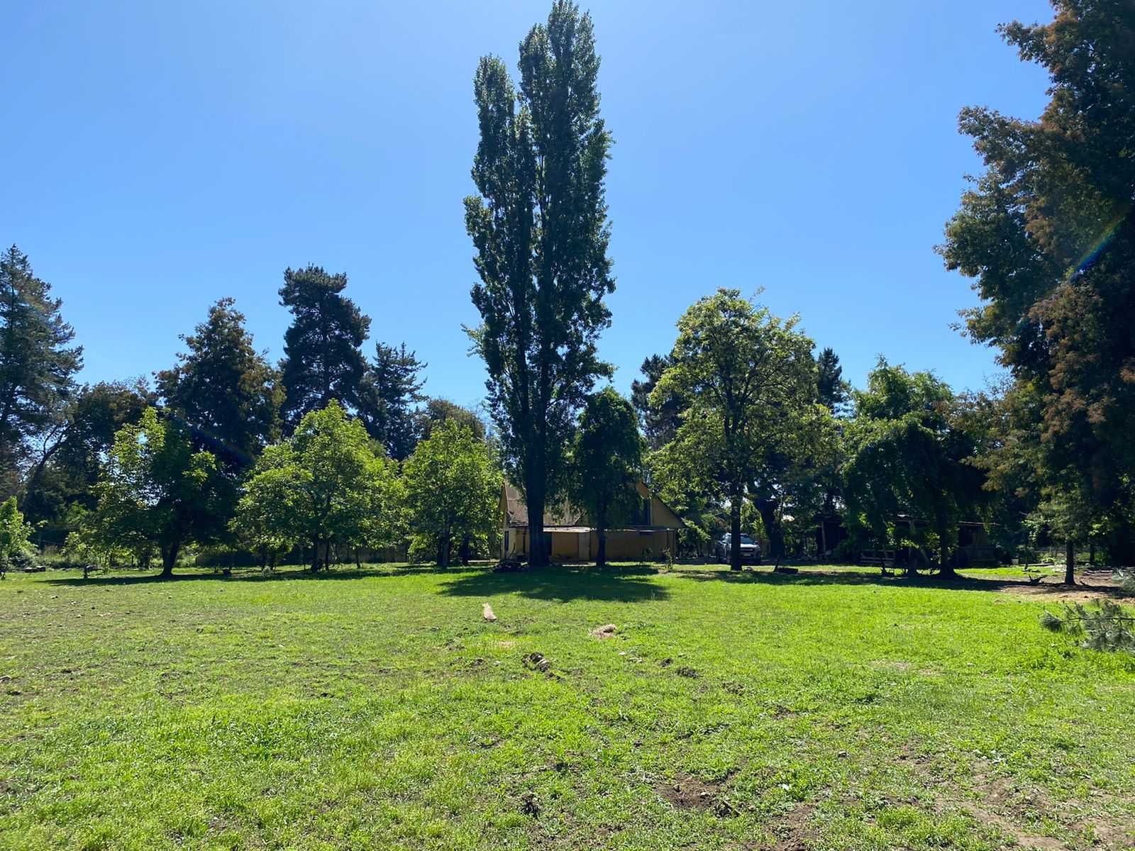 Venta Parcela Linares - Maule