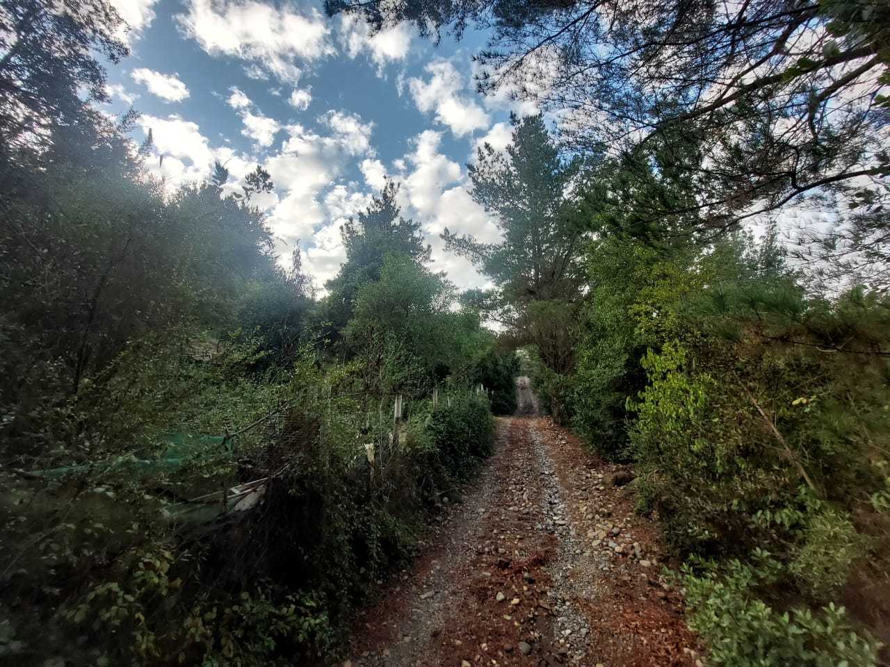 Venta Parcela Colbún - Maule