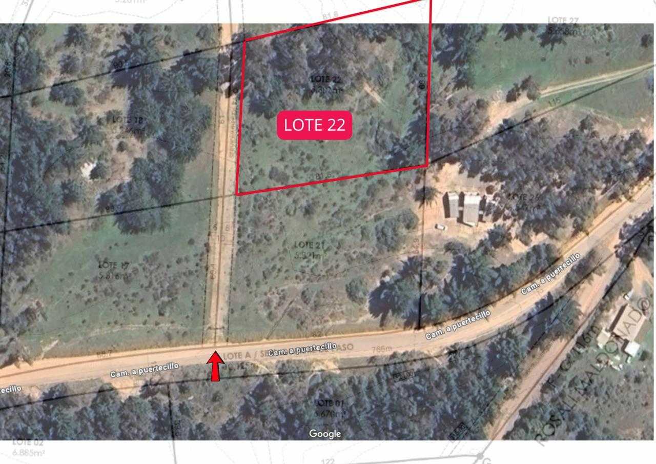 Venta Sitio Navidad - O'Higgins