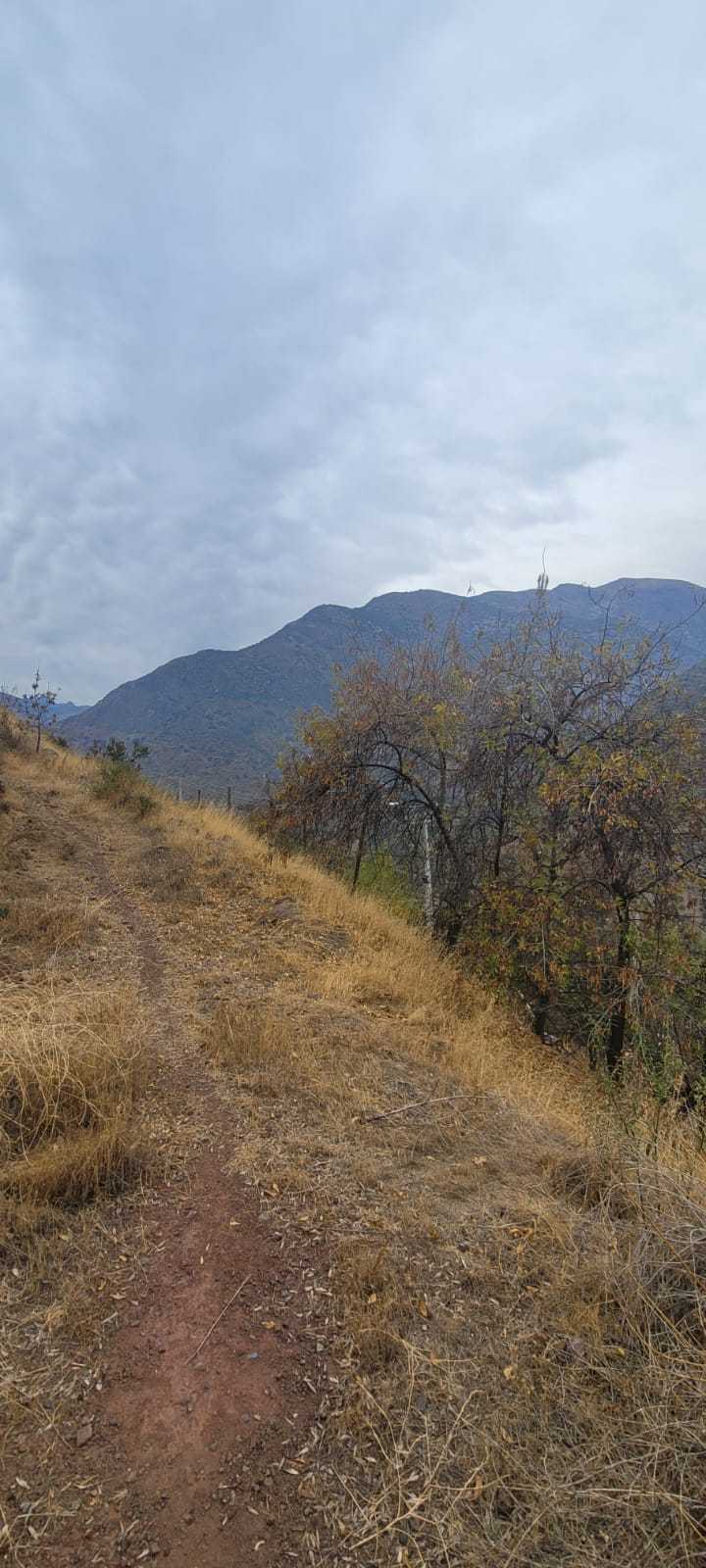 Venta Terreno Lo Barnechea - Región Metropolitana