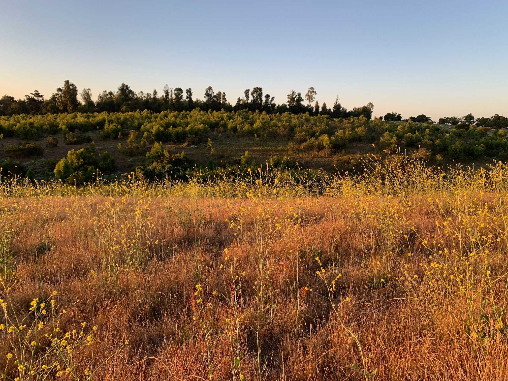 Venta Sitio Quintero - Valparaíso