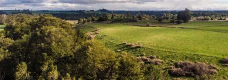 Venta Parcela Llanquihue - Los Lagos