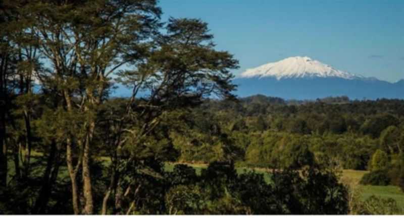 Venta Parcela Llanquihue - Los Lagos