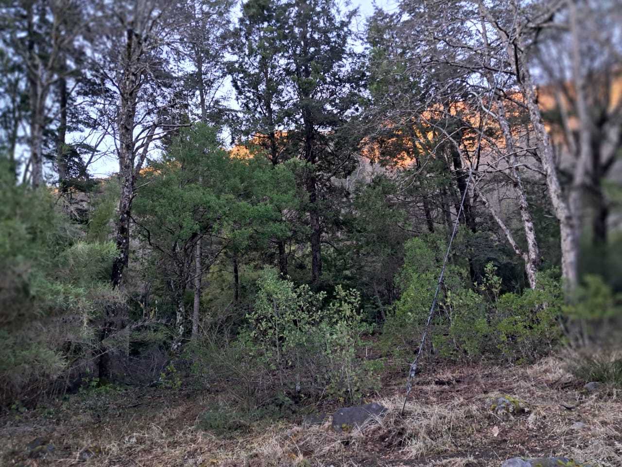 Venta Terreno Pinto - Ñuble