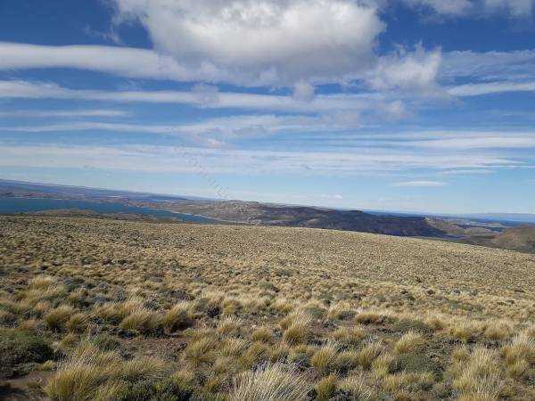 Venta Terreno Río Ibañez - Aysén