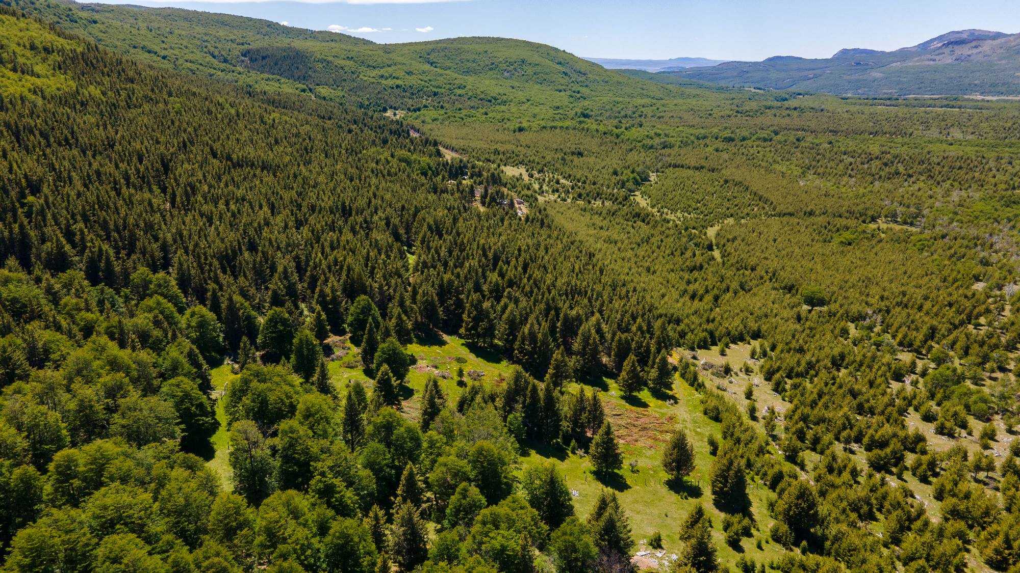 Venta Terreno Coyhaique - Aysén