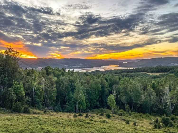 Venta Parcela Queilén - Los Lagos