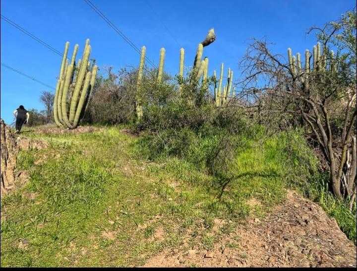 Venta Parcela Paine - Región Metropolitana