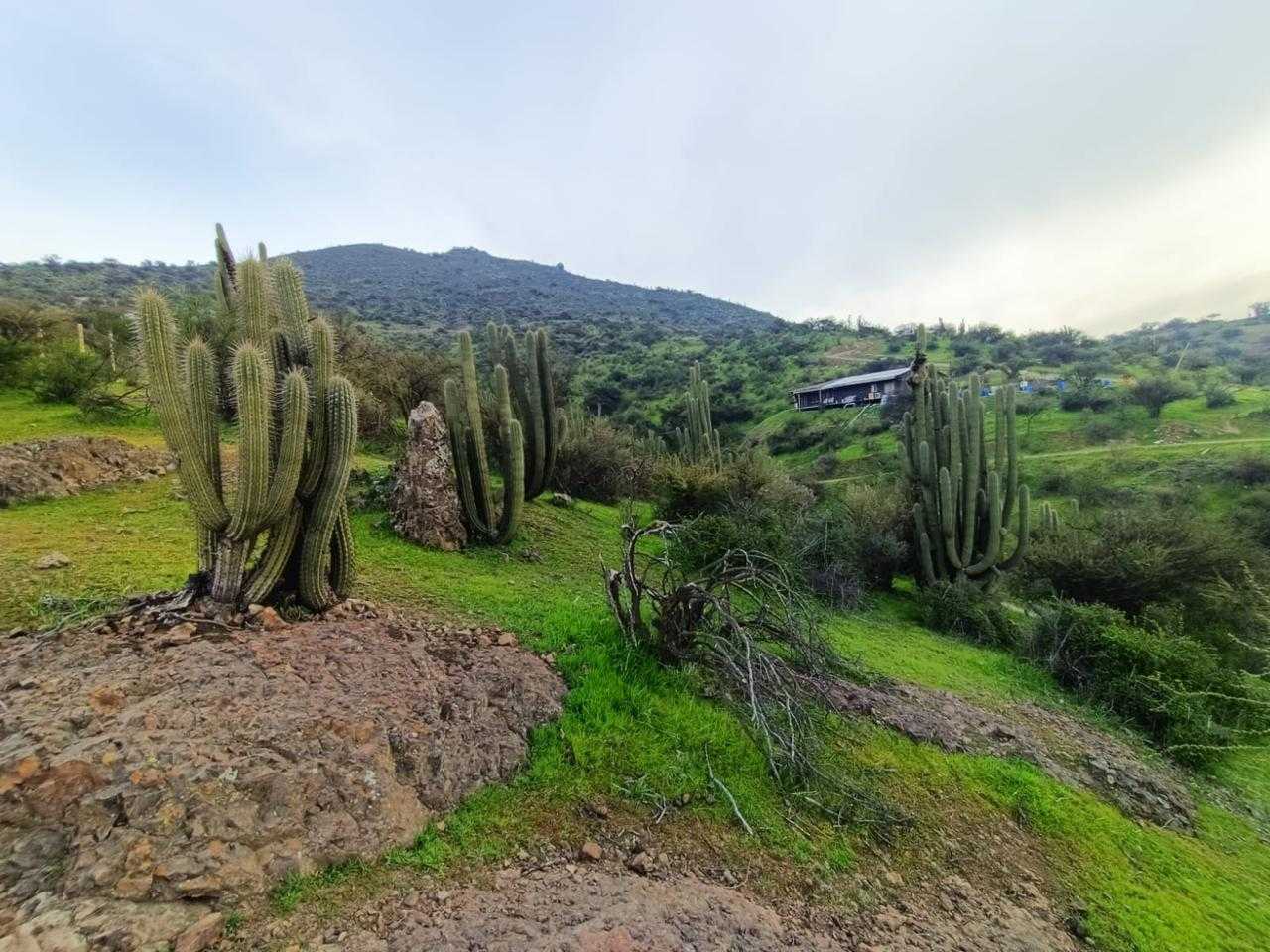 Venta Parcela Paine - Región Metropolitana