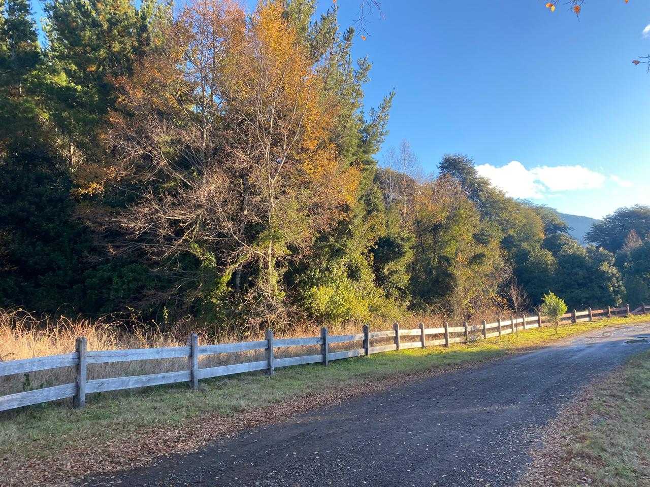 Venta Parcela Pucón - La Araucanía