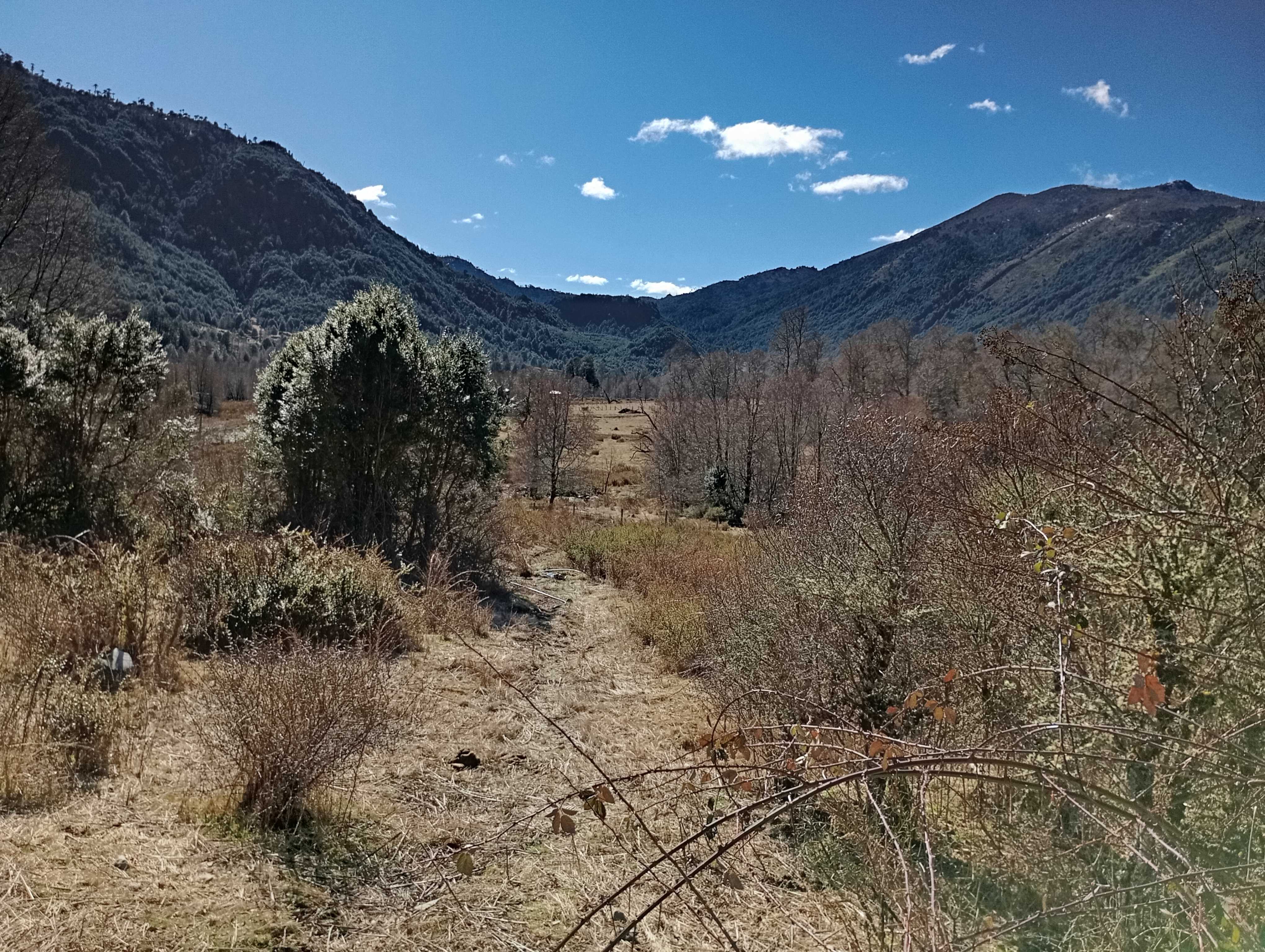 Venta Parcela Pucón - La Araucanía