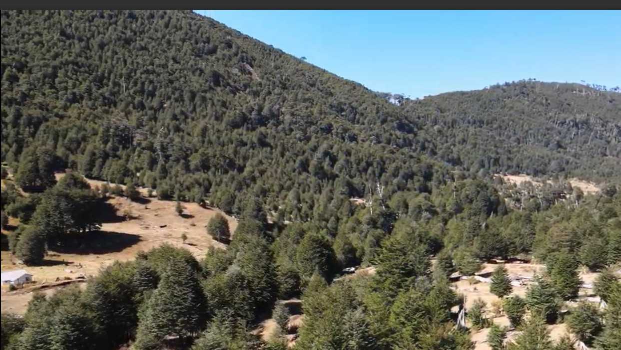 Terreno en Venta en Pucón