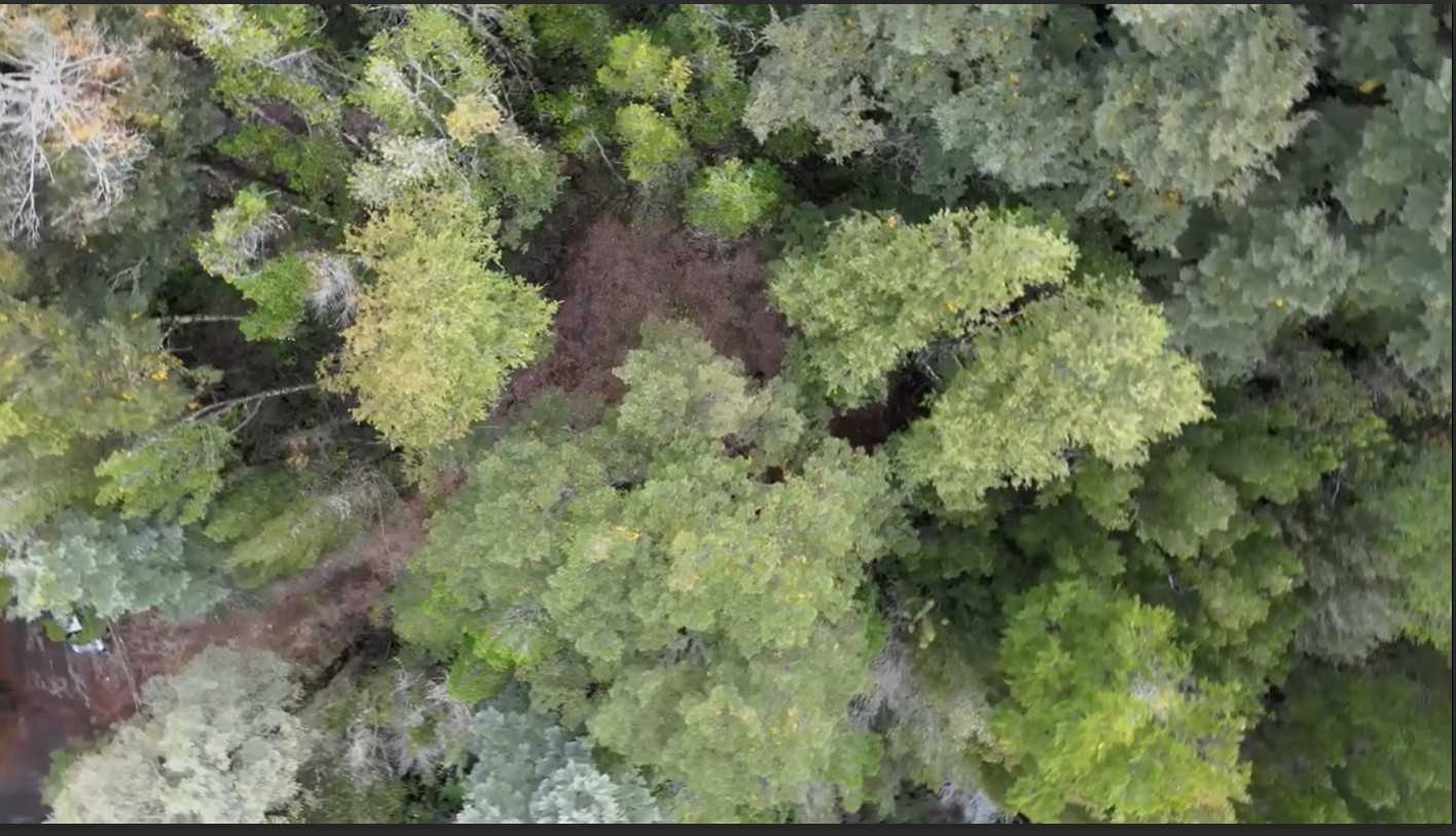 Venta Parcela Pucón - La Araucanía