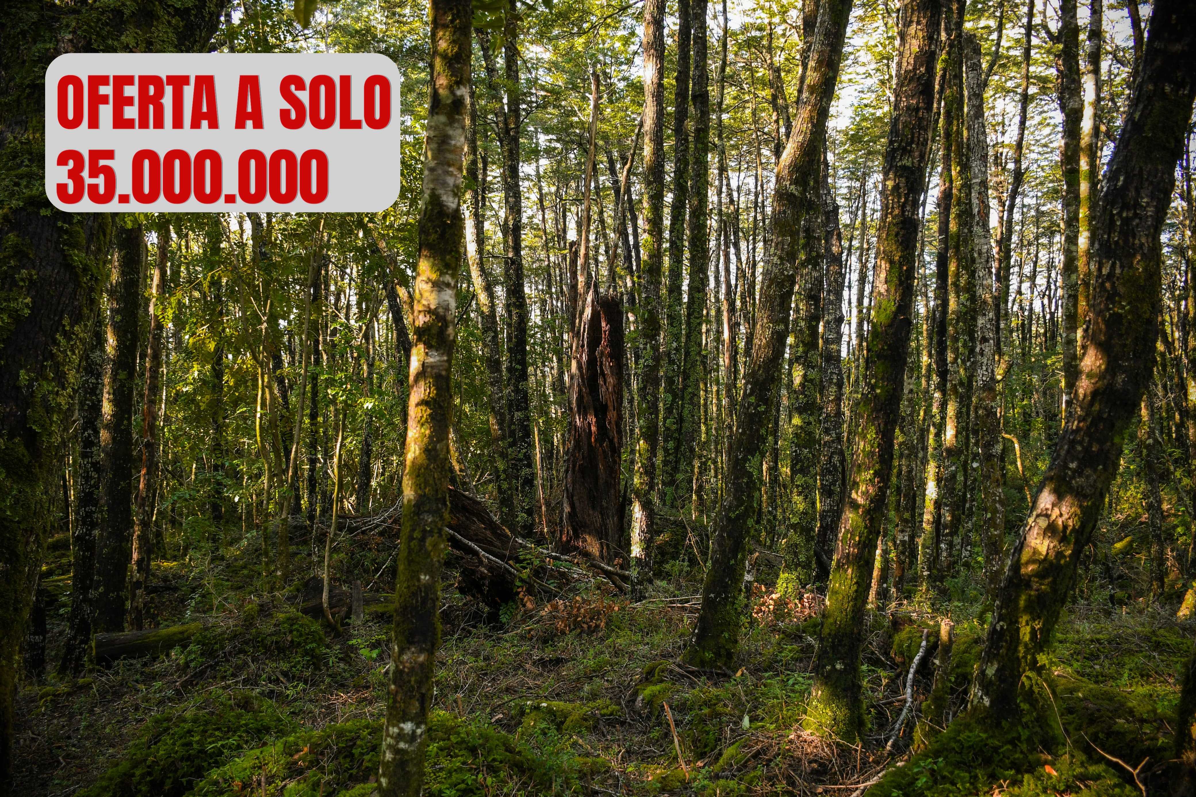 Venta Parcela Pucón - La Araucanía