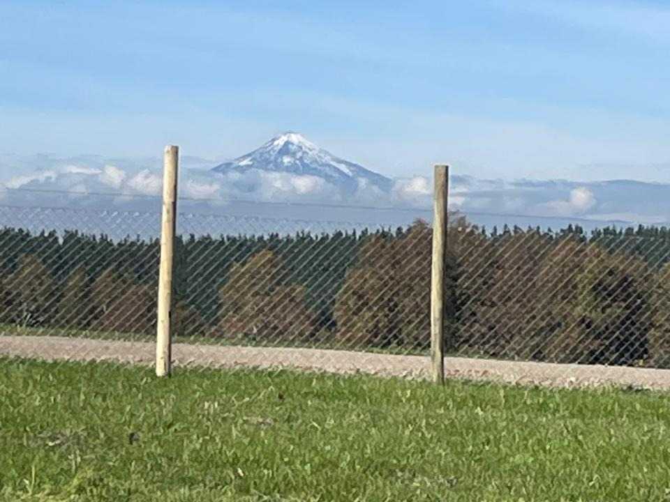 Venta Parcela Freire - La Araucanía