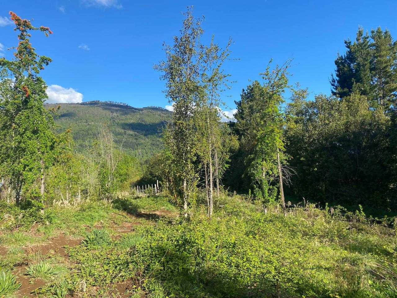 Venta Parcela Pucón - La Araucanía