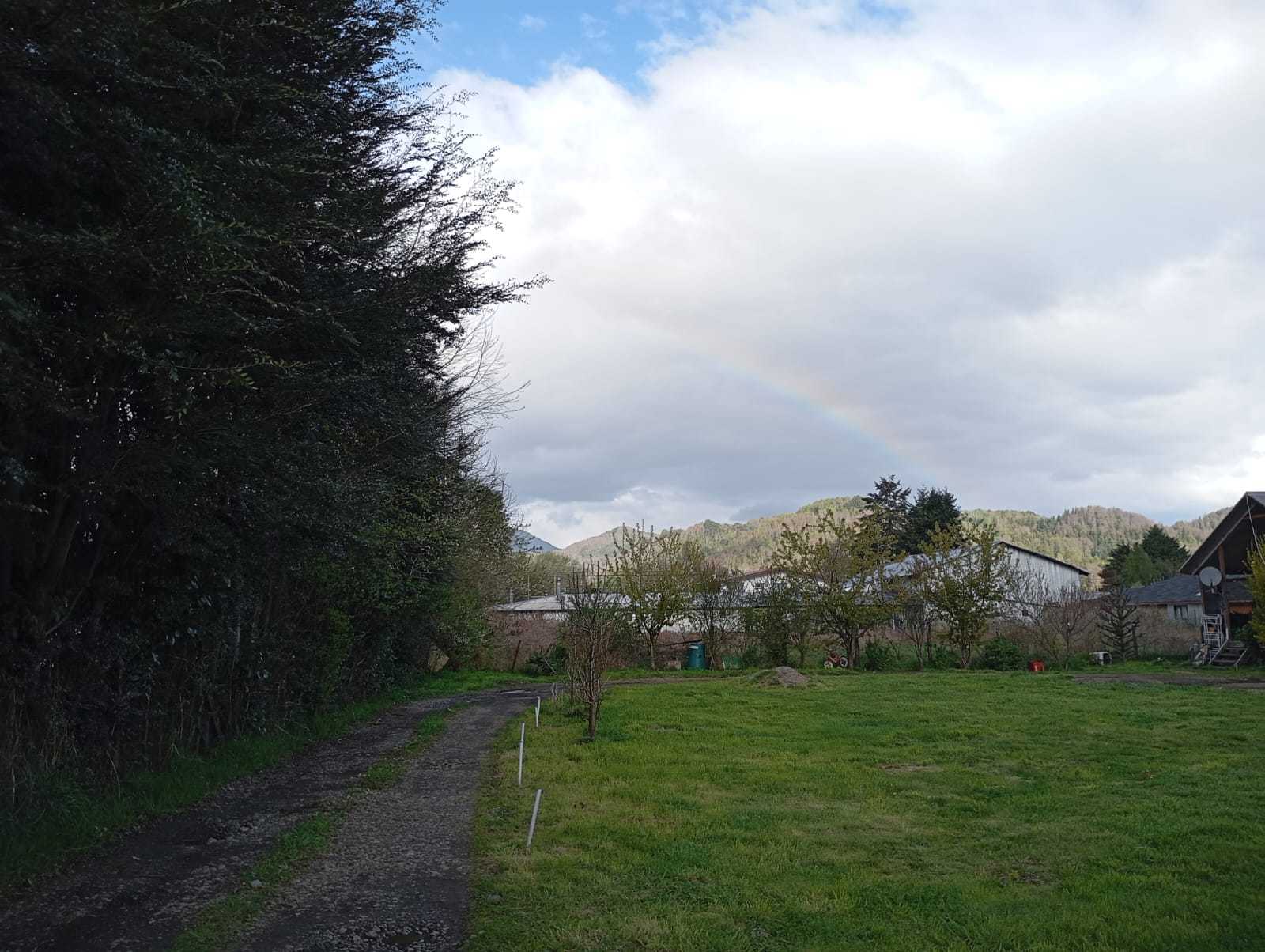 Venta Sitio Curarrehue - La Araucanía