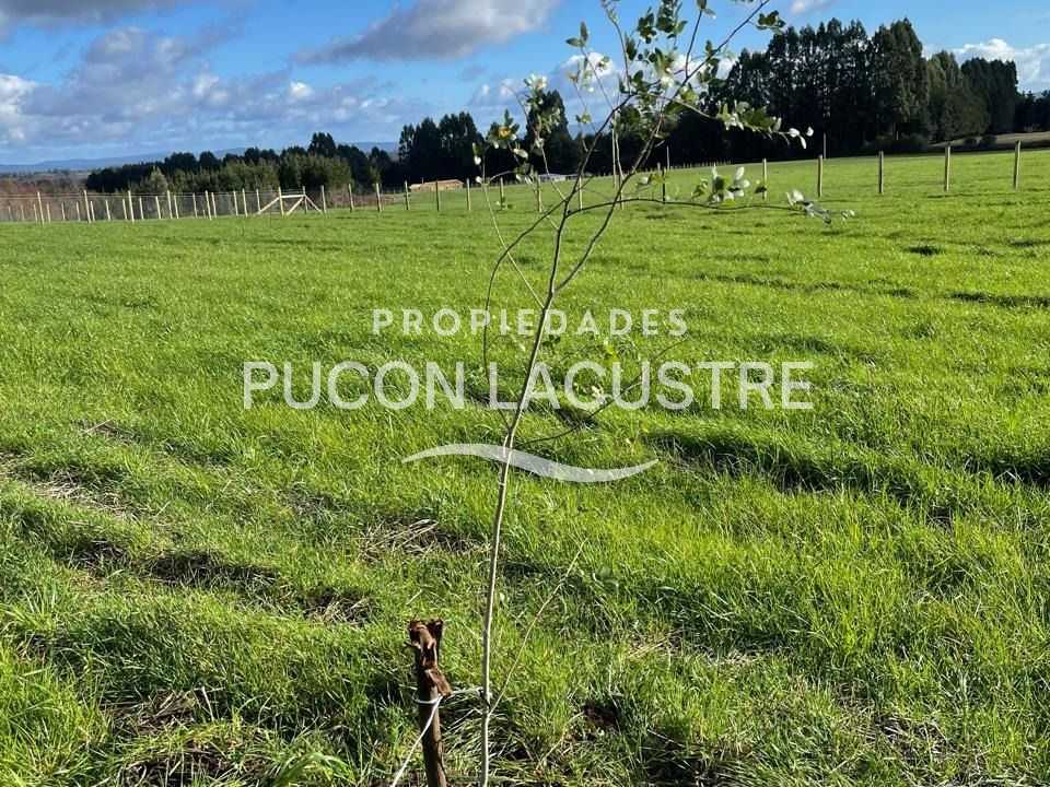 Venta Parcela Freire - La Araucanía