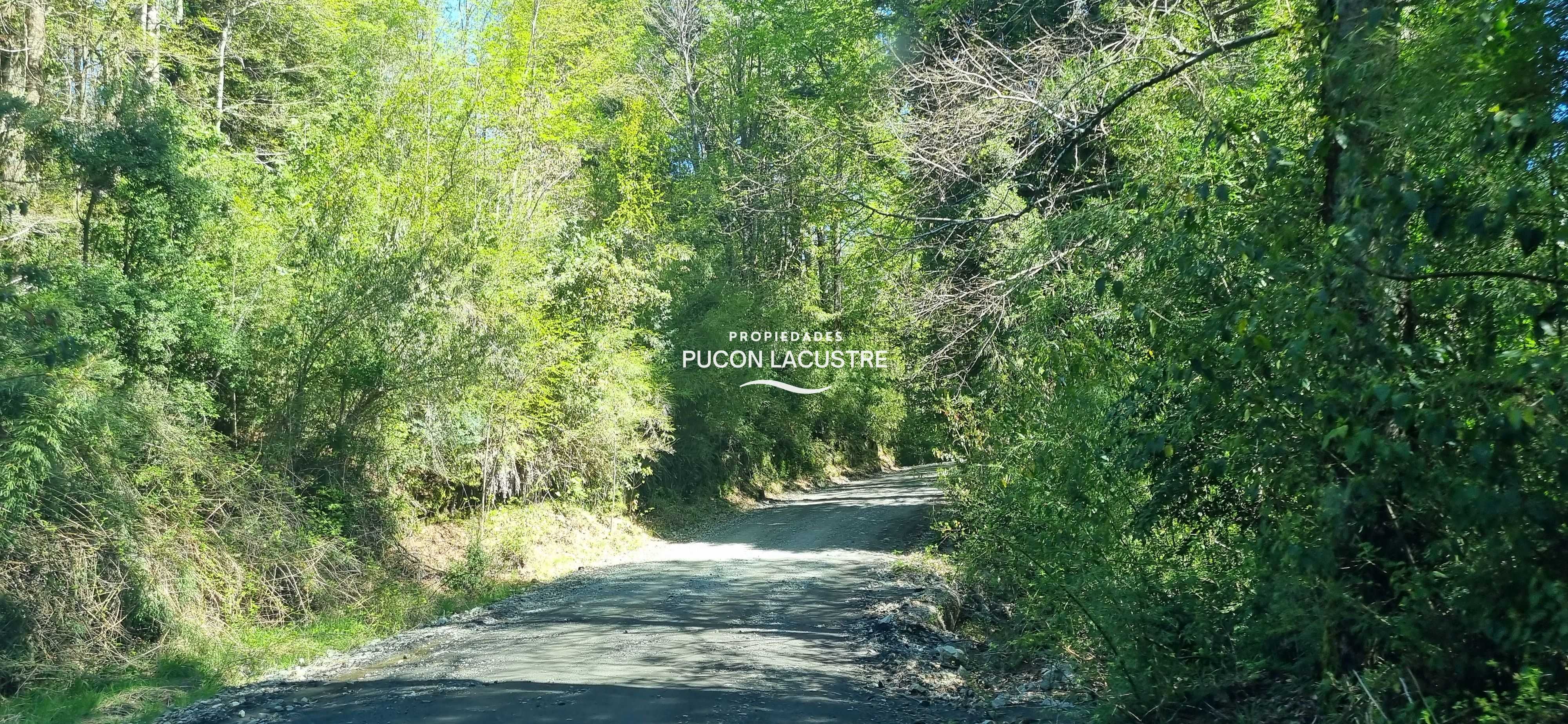 Venta Parcela Panguipulli - Los Ríos