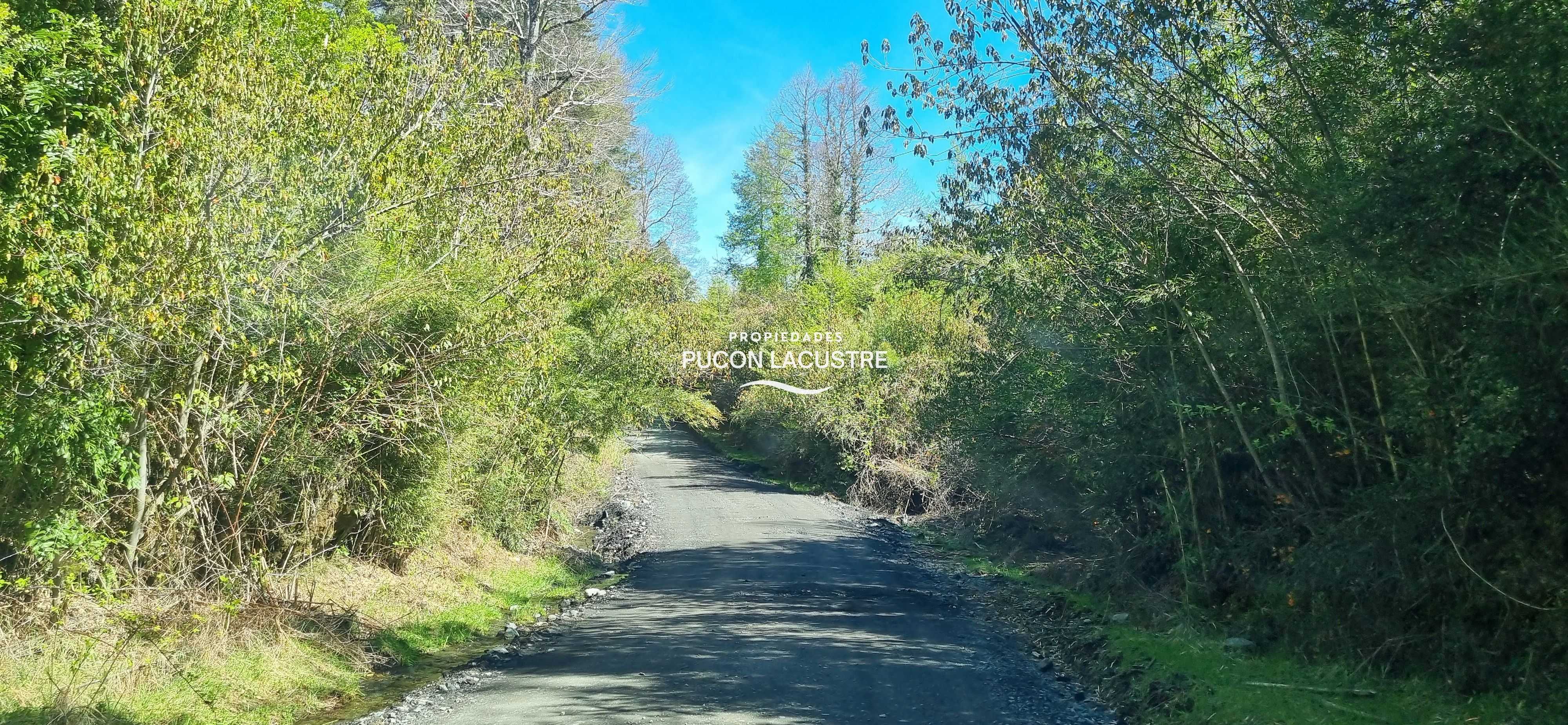 Venta Parcela Panguipulli - Los Ríos