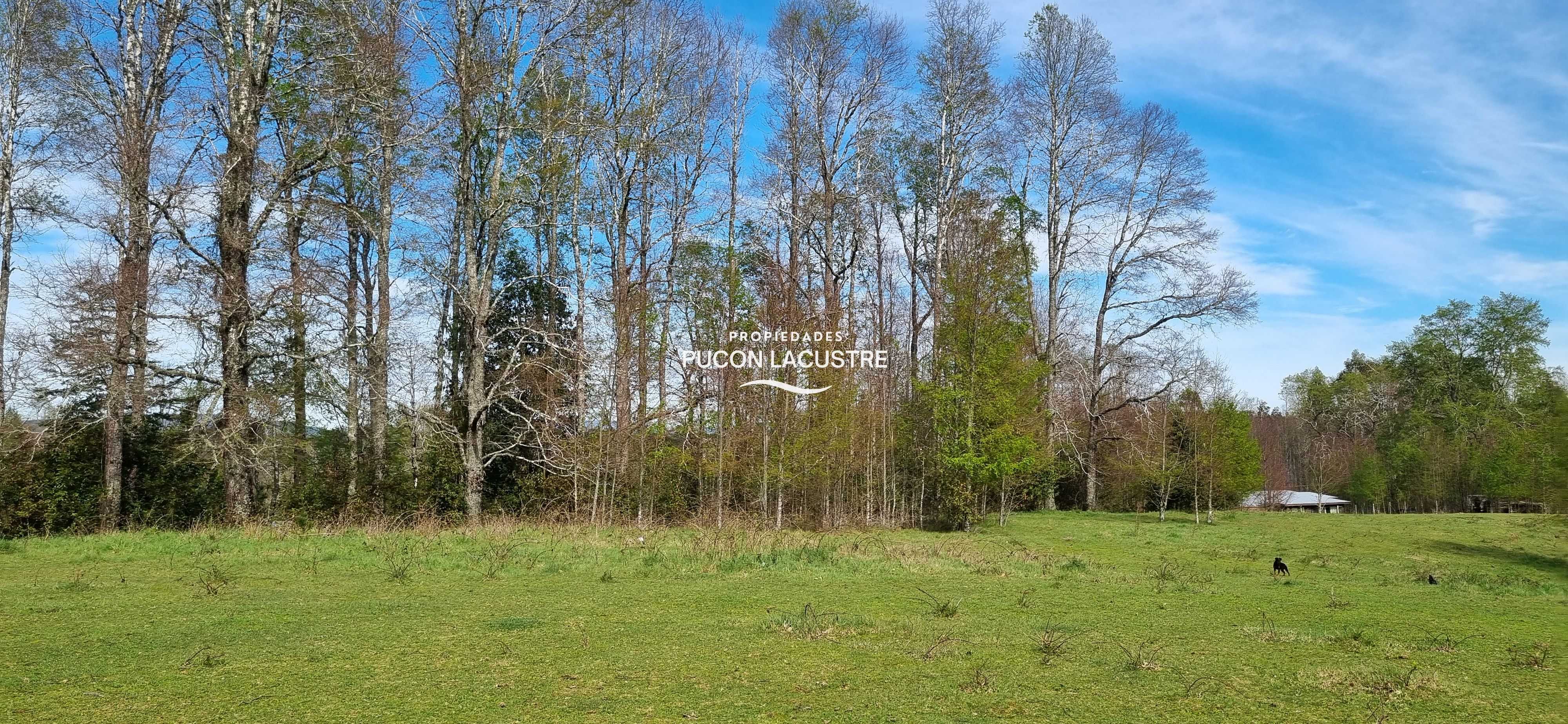 Venta Parcela Villarrica - La Araucanía