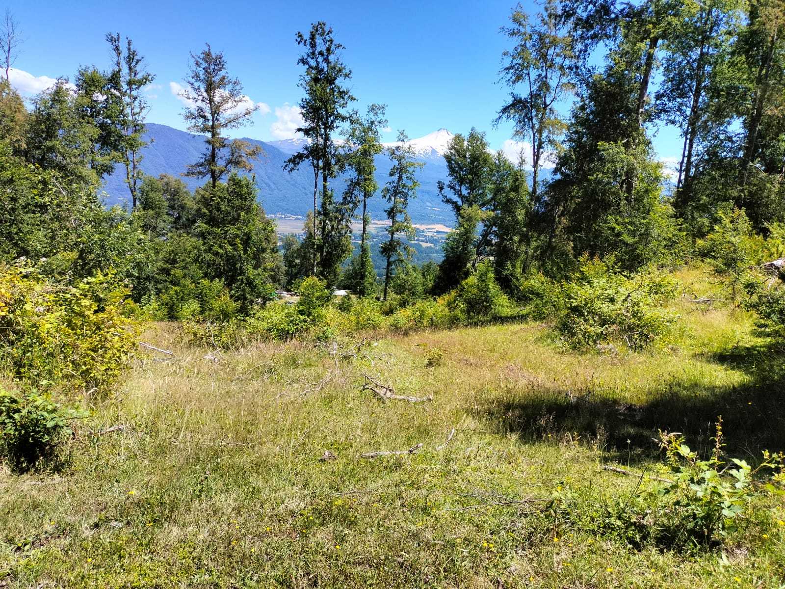 Venta Terreno Pucón - La Araucanía