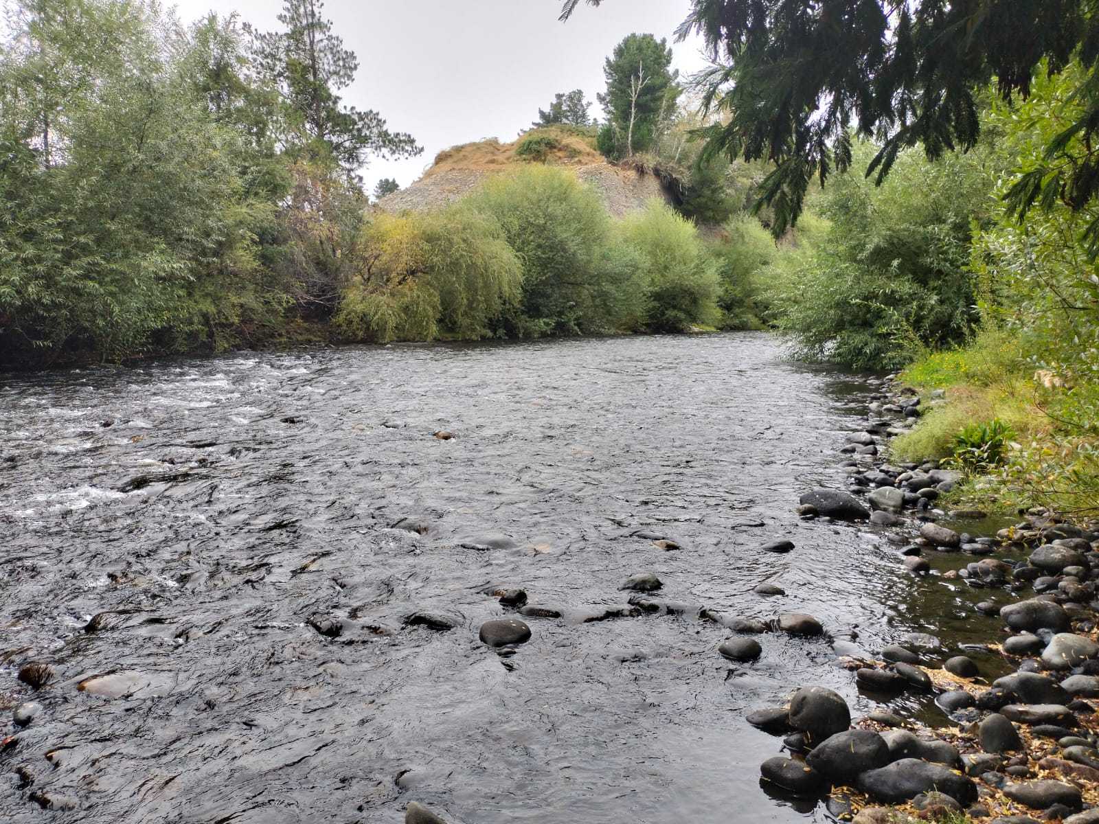 Venta Parcela Villarrica - La Araucanía