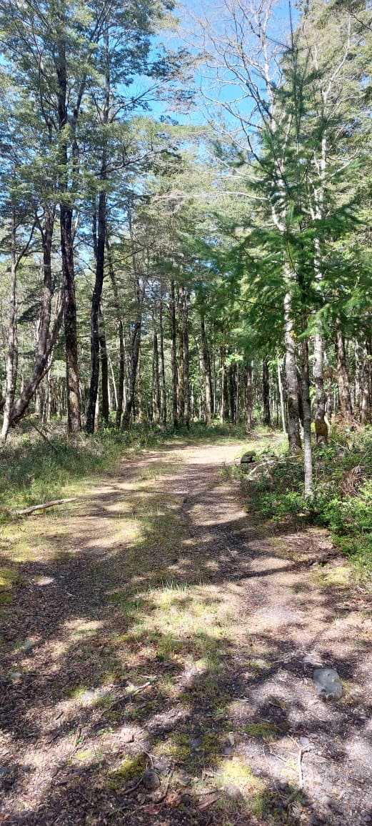 Venta Parcela Villarrica - La Araucanía