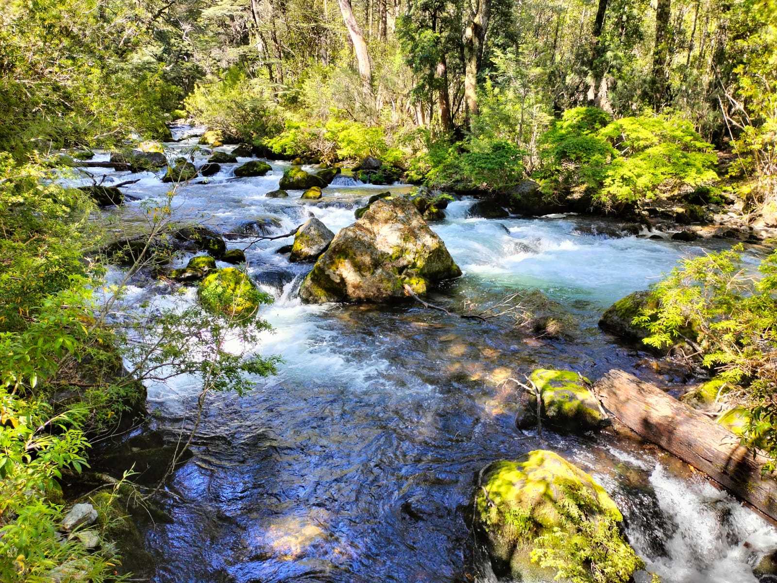 Venta Terreno Curarrehue - La Araucanía