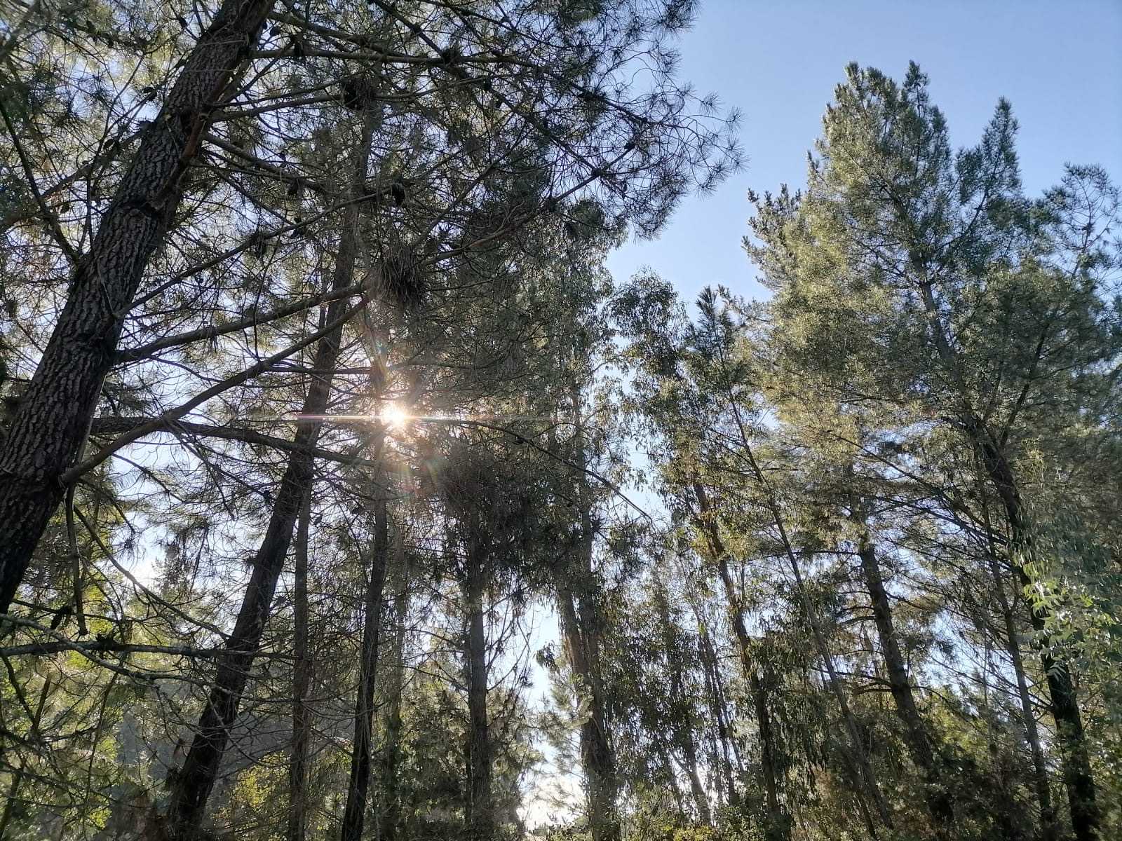 Venta Parcela Cauquenes - Maule