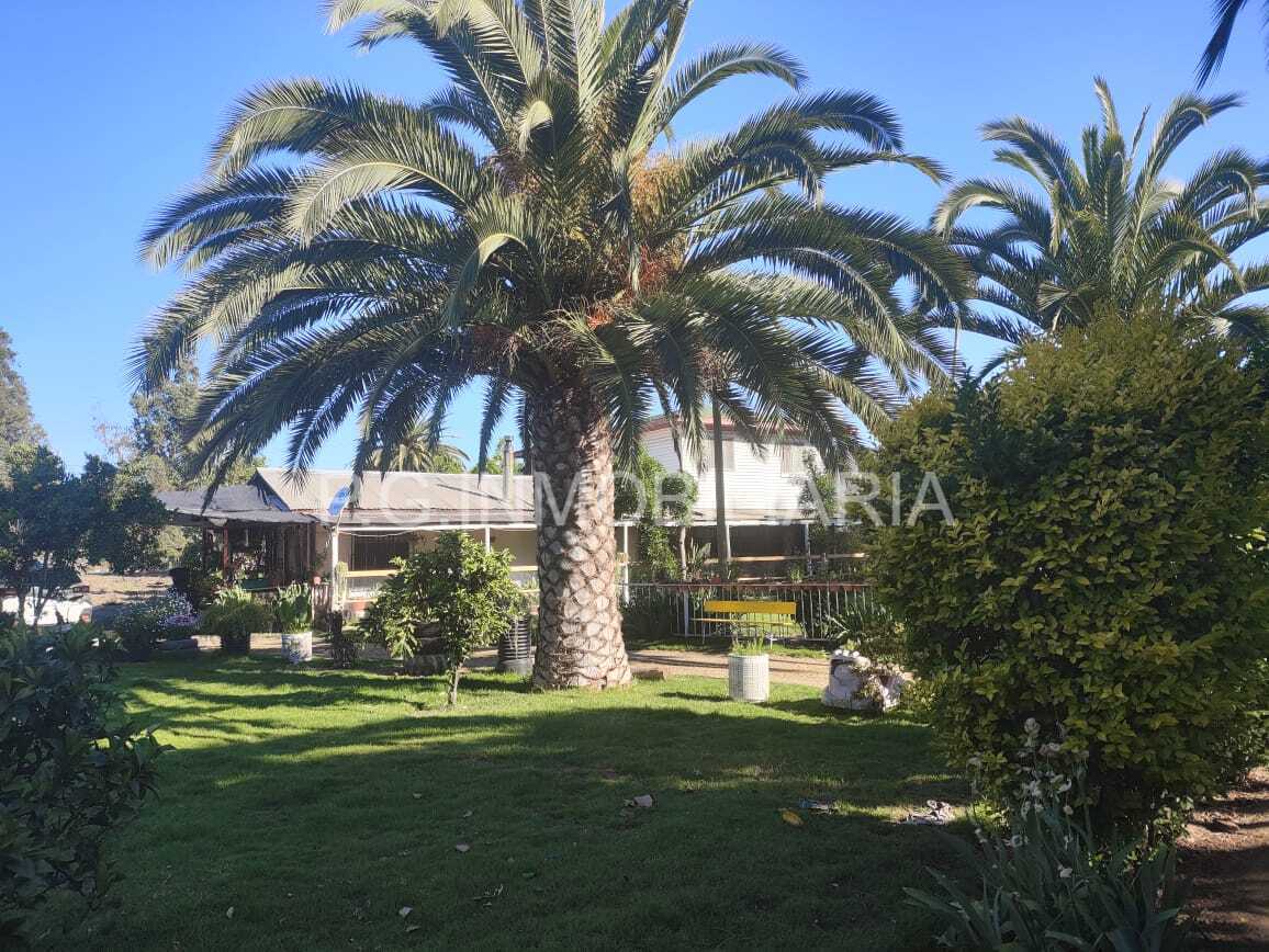 Venta Parcela Curacaví - Región Metropolitana