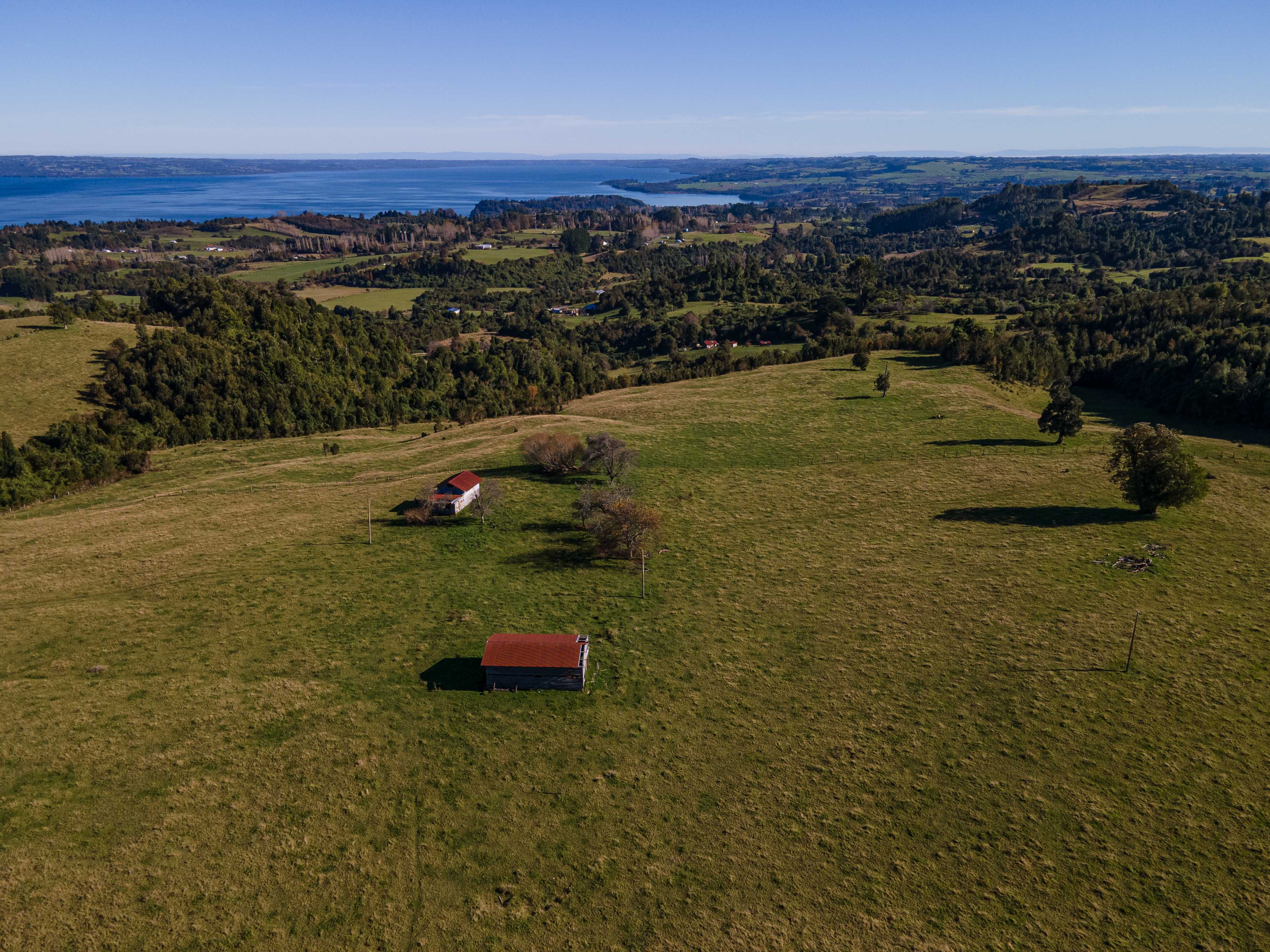 Venta Parcela Puyehue - Los Lagos