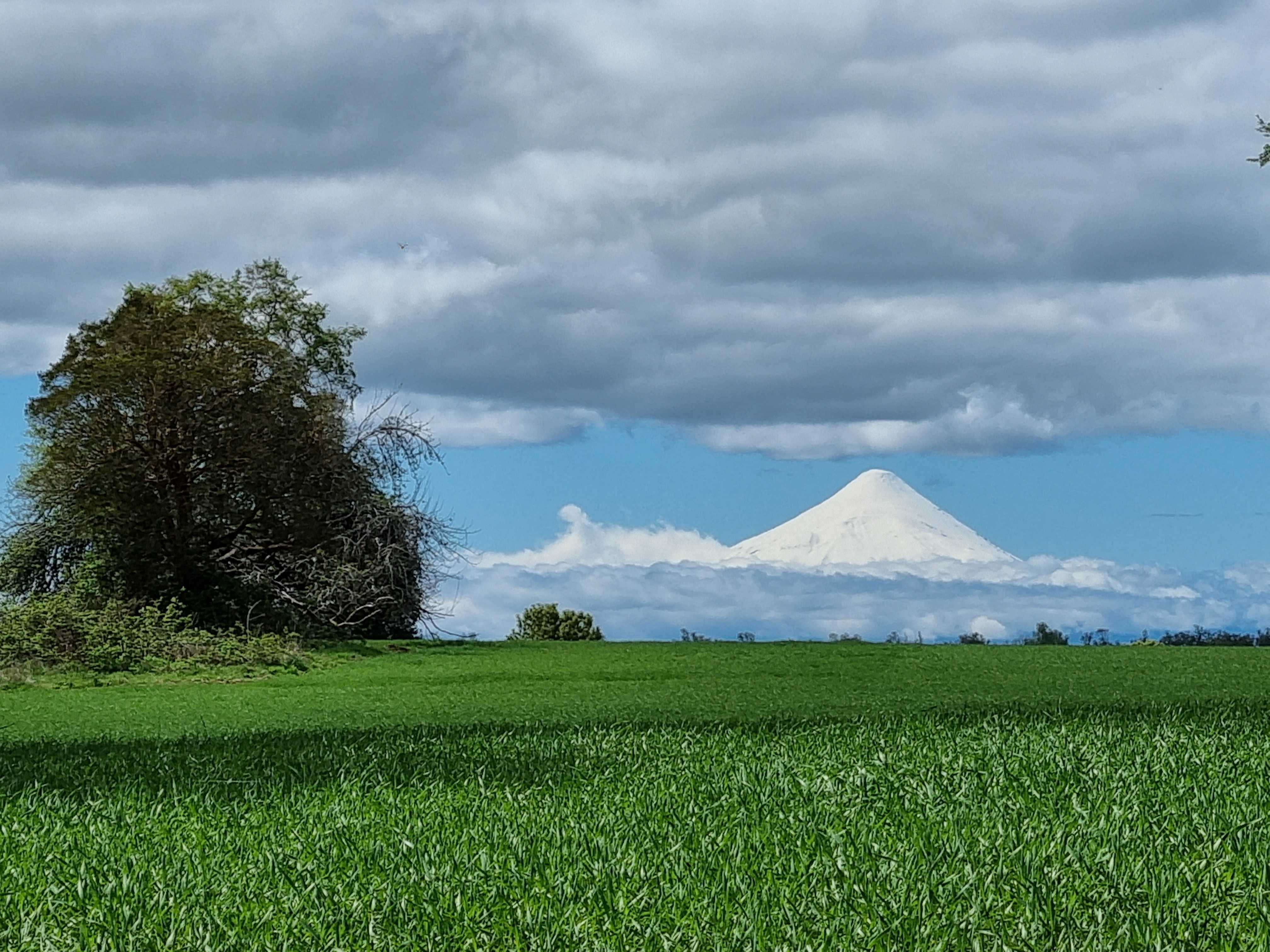 Campo a Minutos de Frutillar-totoral
