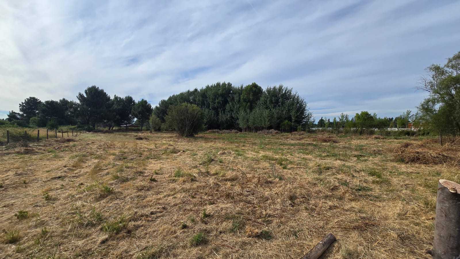 Venta Parcela Cabrero - Biobío