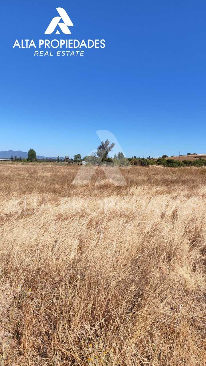 Venta Terreno Bulnes - Ñuble