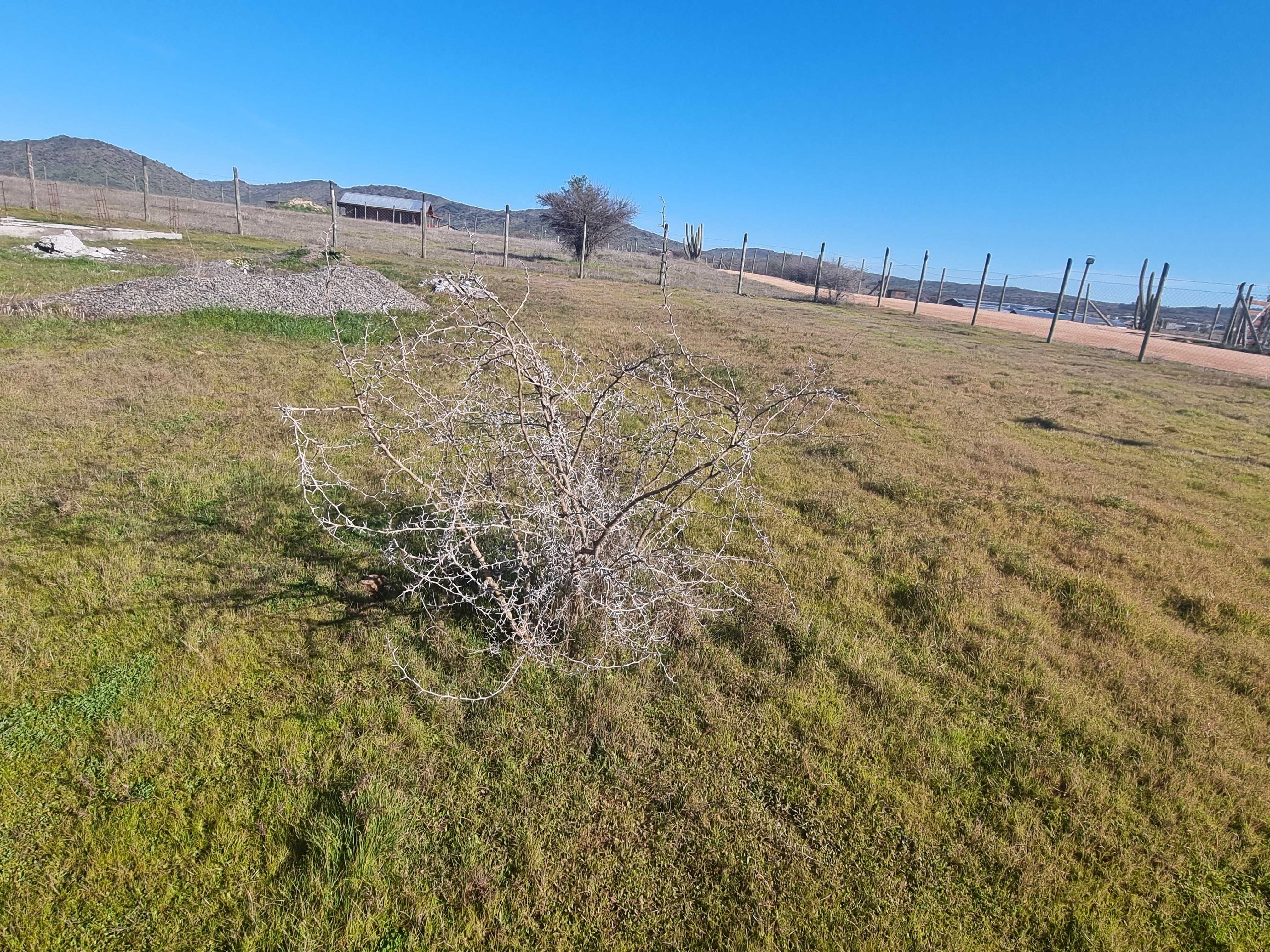 Venta Parcela Marchigüe - O'Higgins