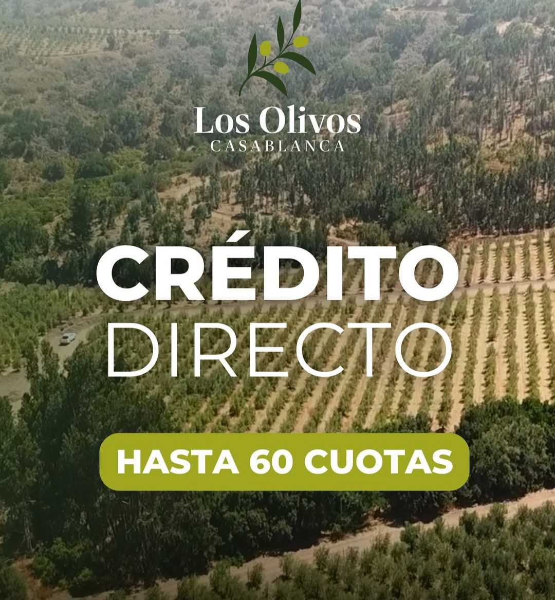 Venta Parcela Casablanca - Valparaíso