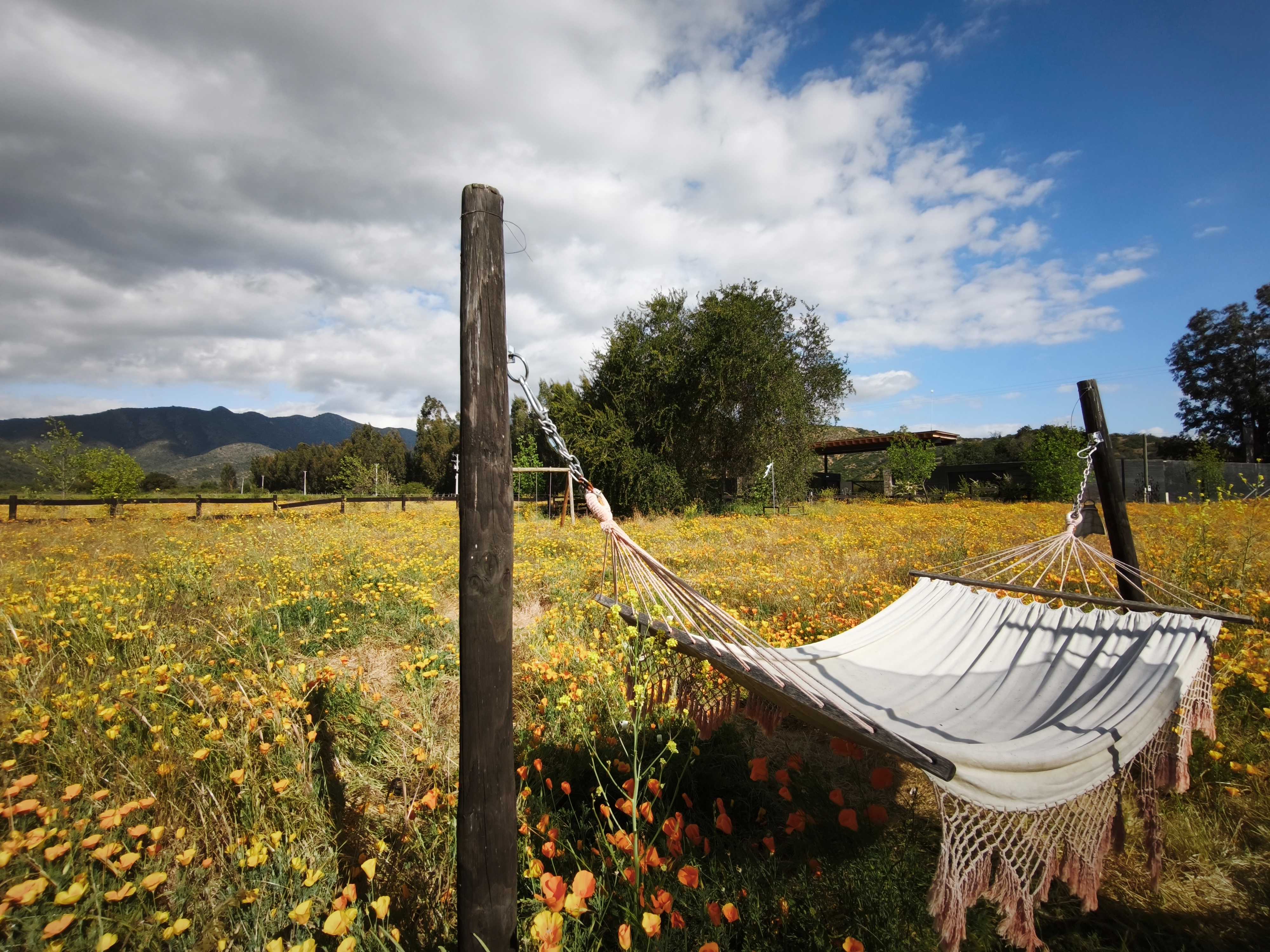Venta Parcela Casablanca - Valparaíso