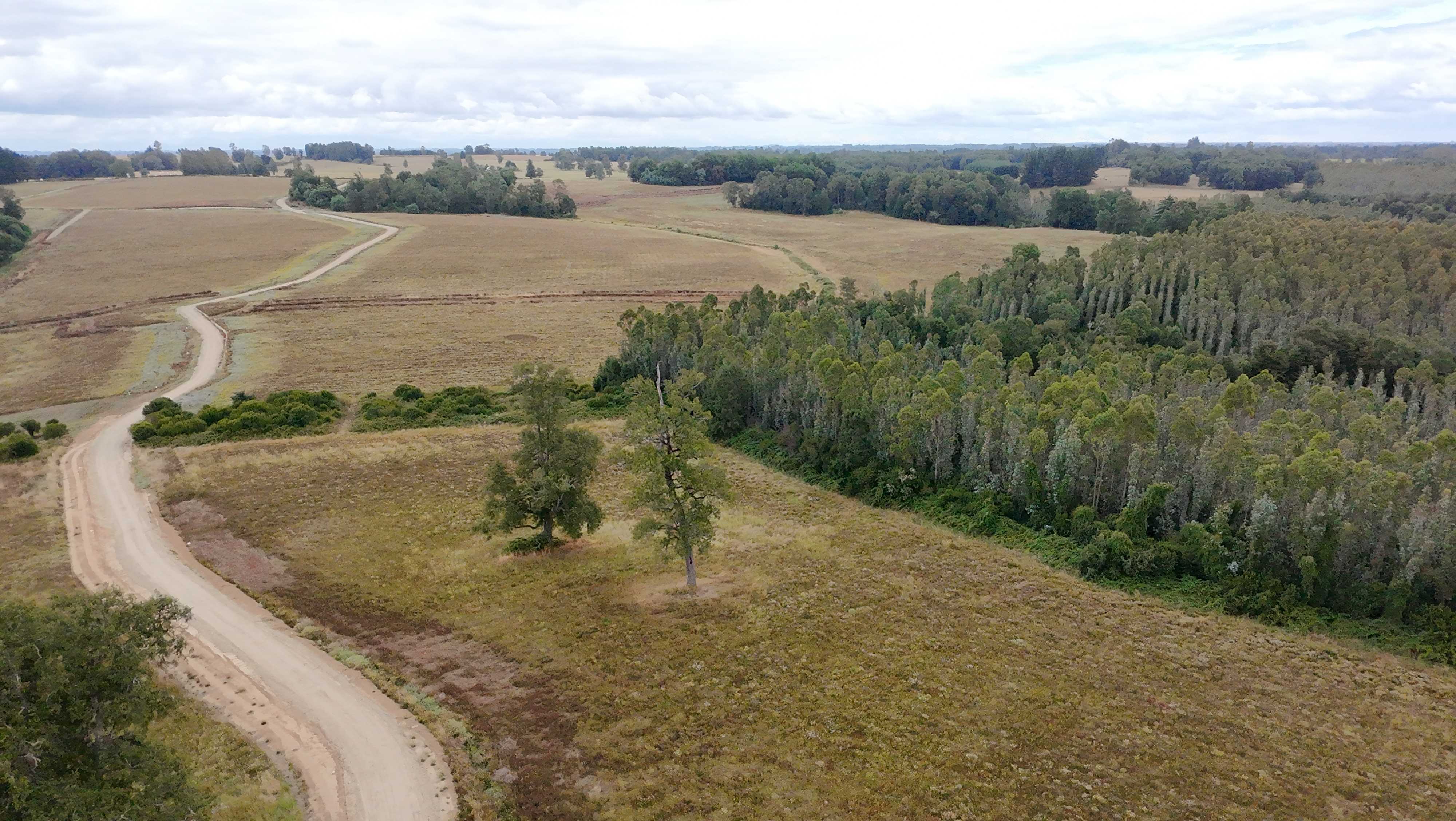 Terreno en Frutillar