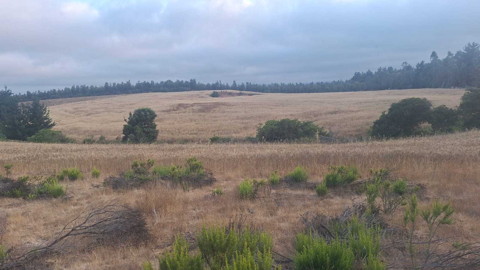 Excelente Campo Agricola Para Paltos